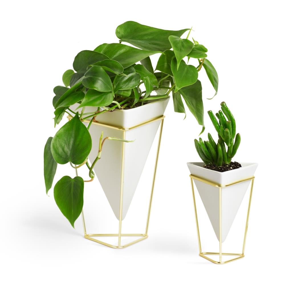 Umbra 1004372-524 Planter-Window-Box - View #3