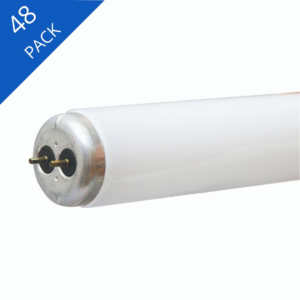 4100 K Cool White Fluorescent Light Bulbs 30-Pack GE 48-in Medium Bi-pin T8 