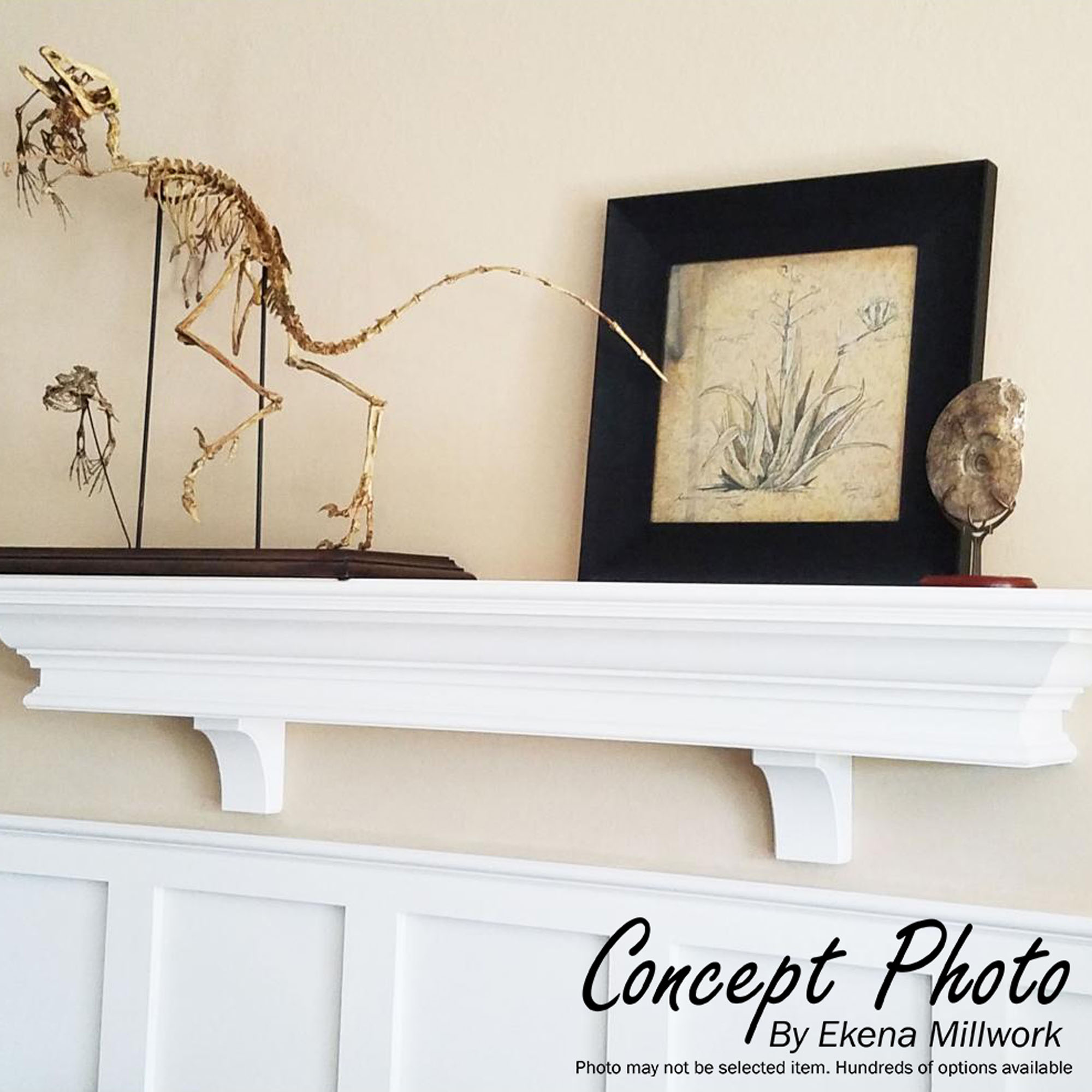 Reece Hand-Carved Alder Wood Countertop Shelf Bracket