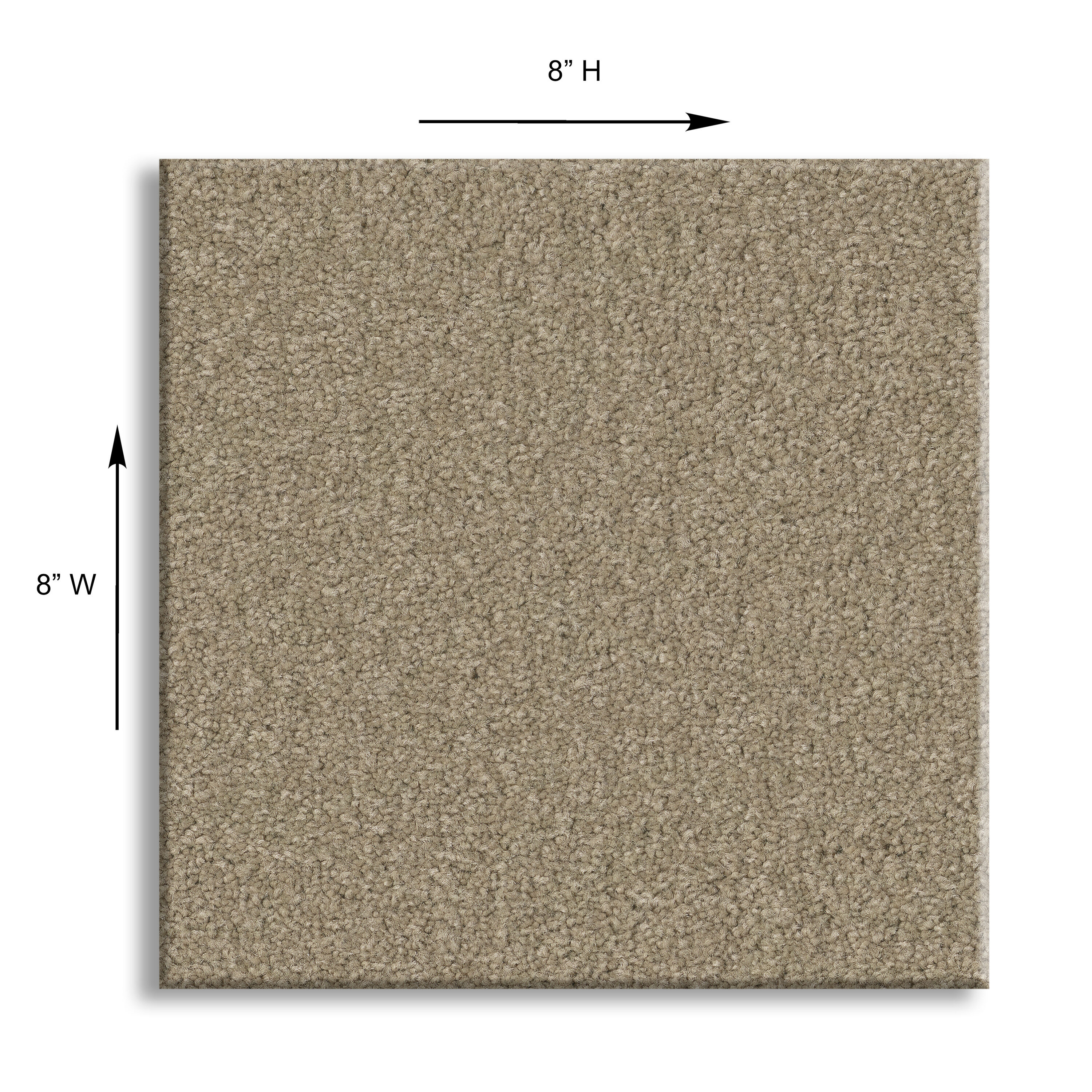 STAINMASTER PetProtect 7L883 - 105 - SAMP Carpet-Samples - View #5