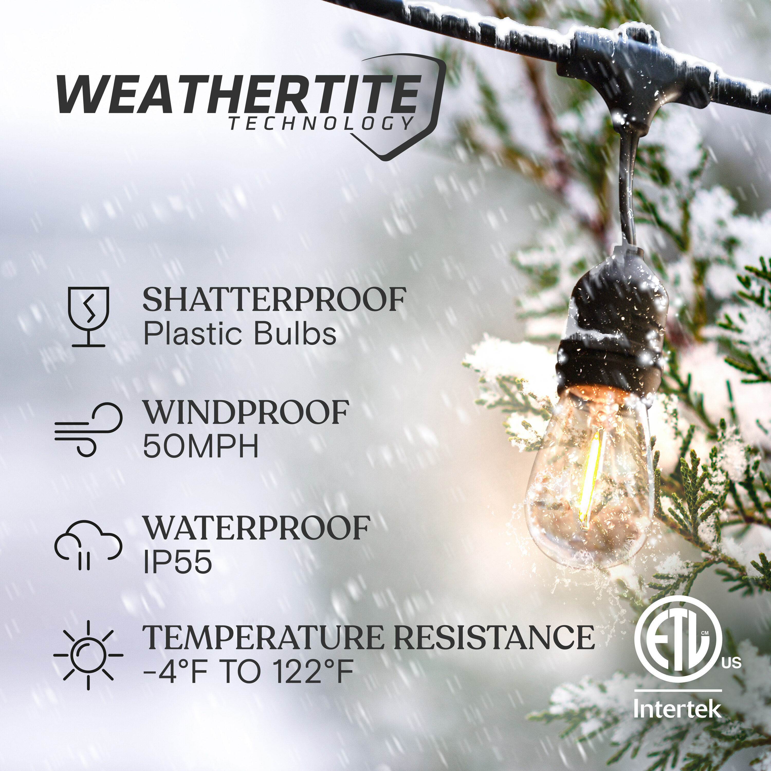 Brightech 7-Bulb LED Ambience Pro 1W 24ft 2700K S14 Indoor Outdoor Plug-in Hanging String Lights Clear Bulb Black Wire