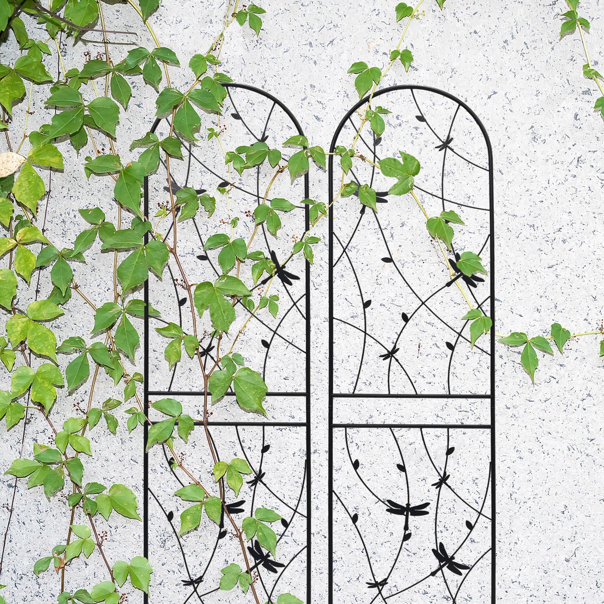 AHIOU HOME ZAAHG-P268045GT Garden-Trellis - View #4