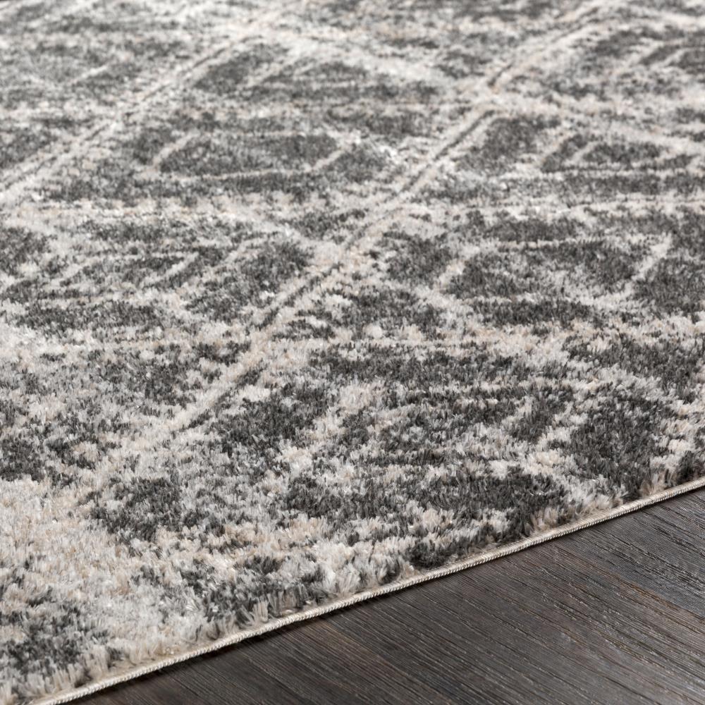 Surya FKT2300-5376 rugs - View #4