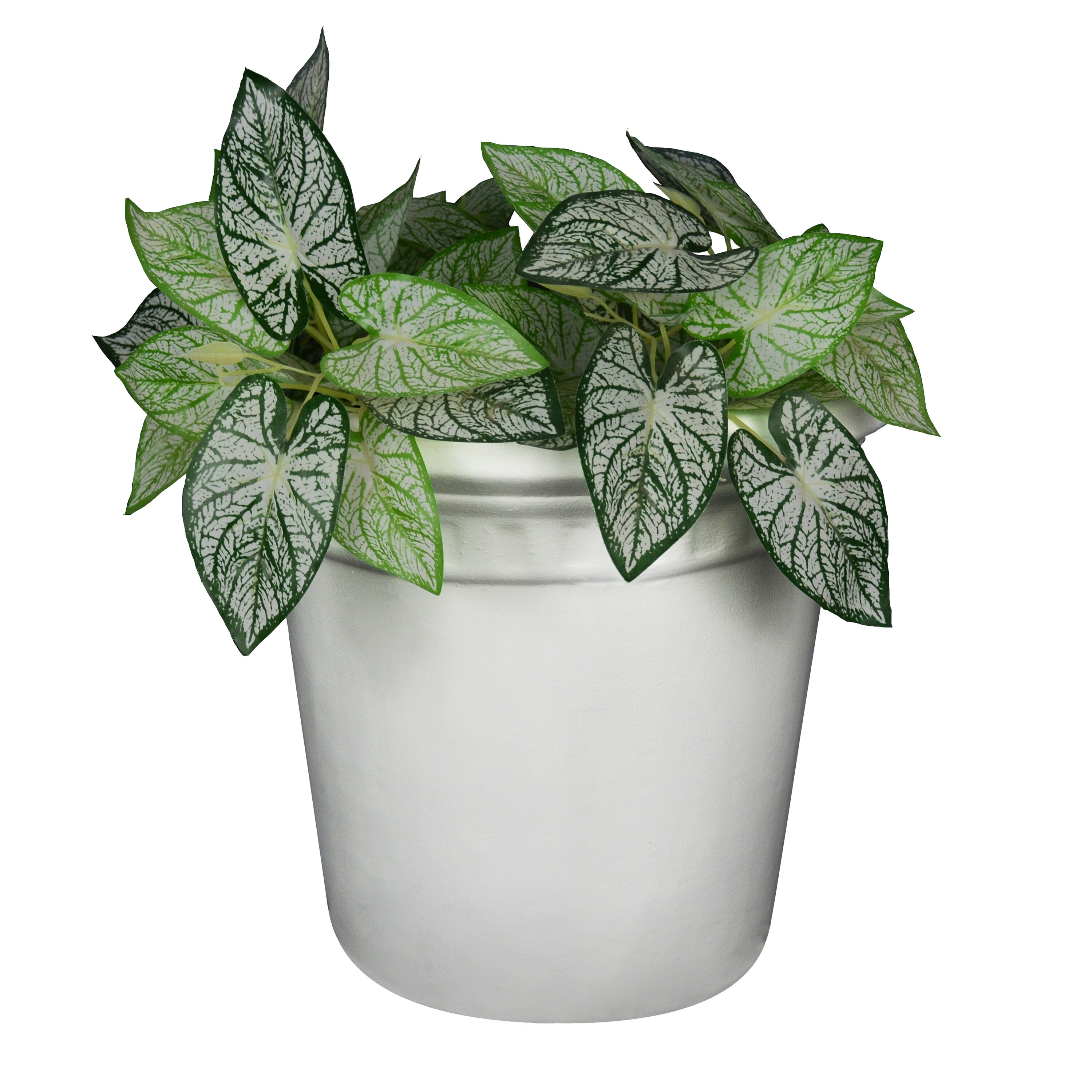 Evergreen 2CG849 Planter-Window-Box - View #2