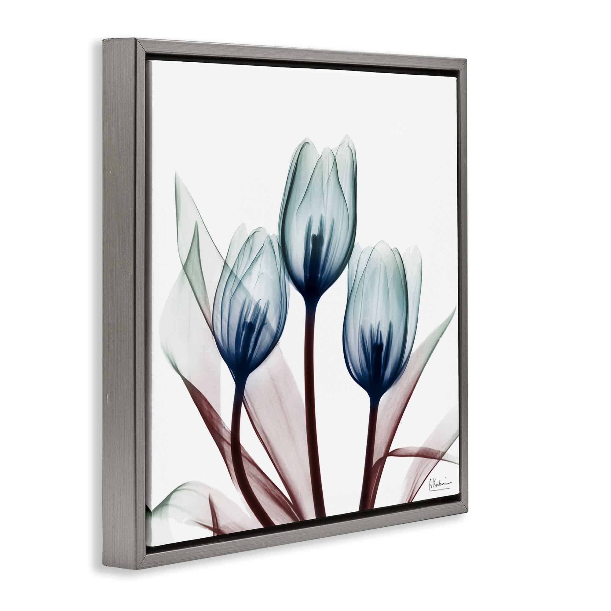 Stupell Industries BS-015-FFL-24X24 Wall-Art - View #2