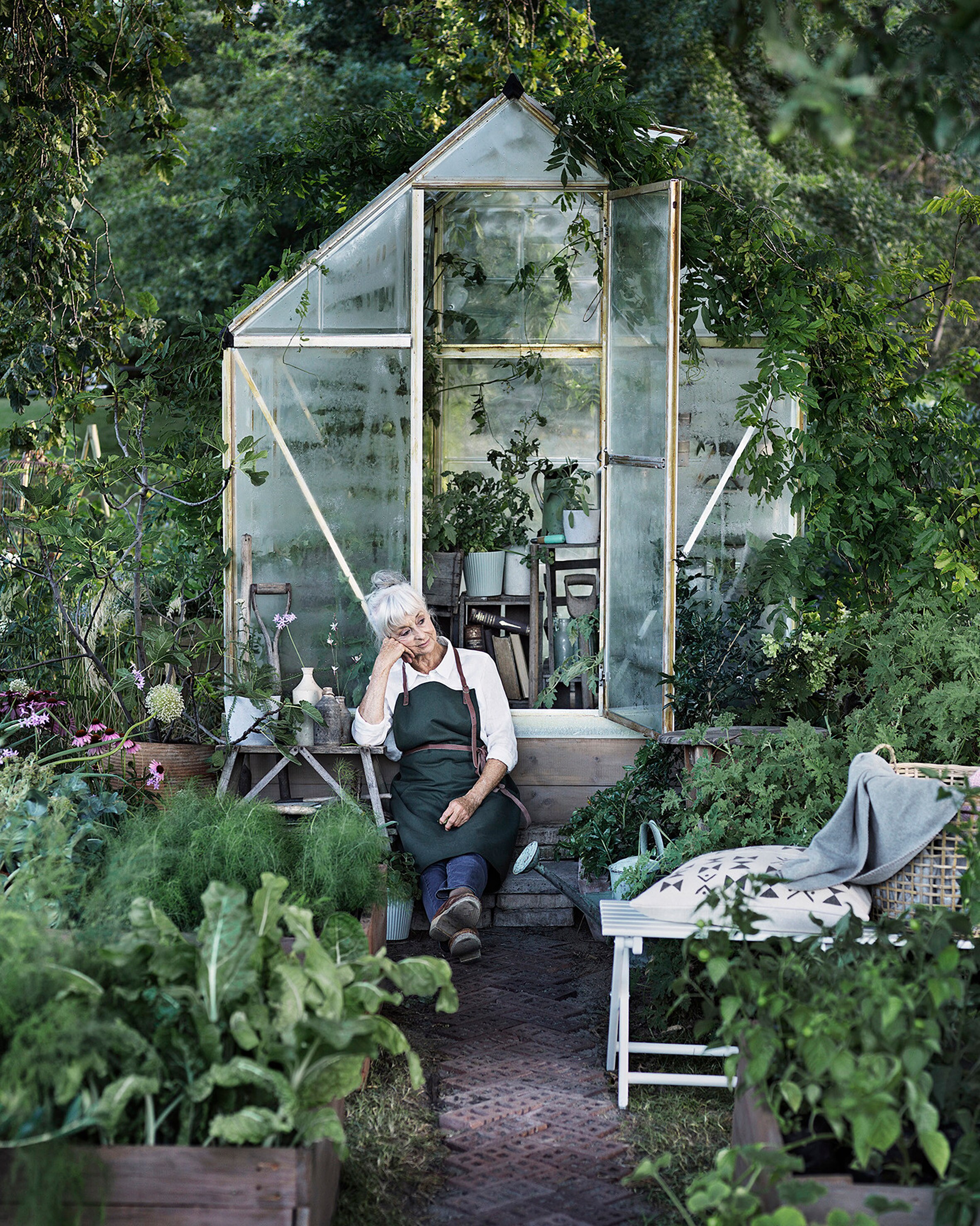 Canopia by Palram 706768 greenhouses - View #3