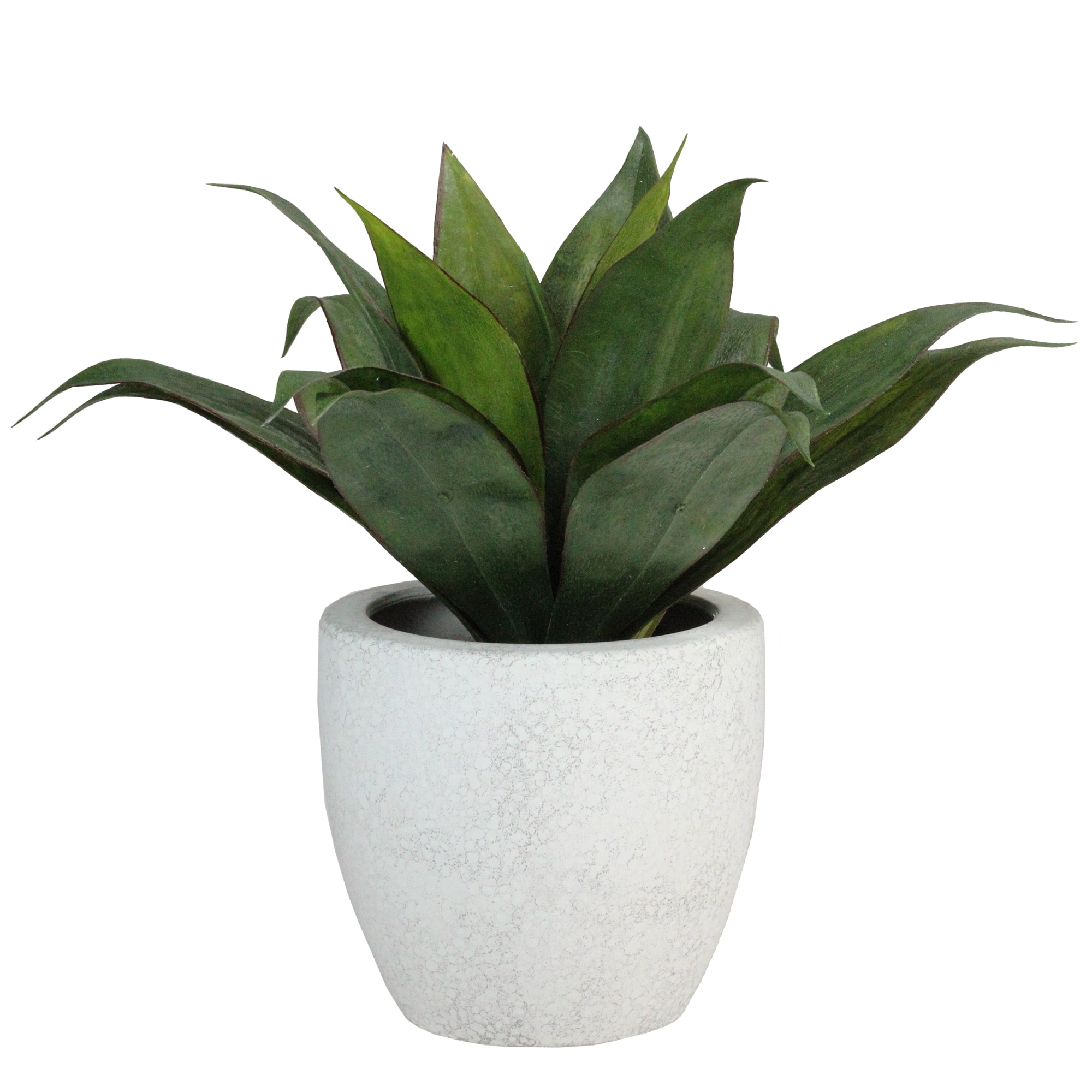Northlight 32556439 13-in White Indoor Desktop Agave Artificial plant