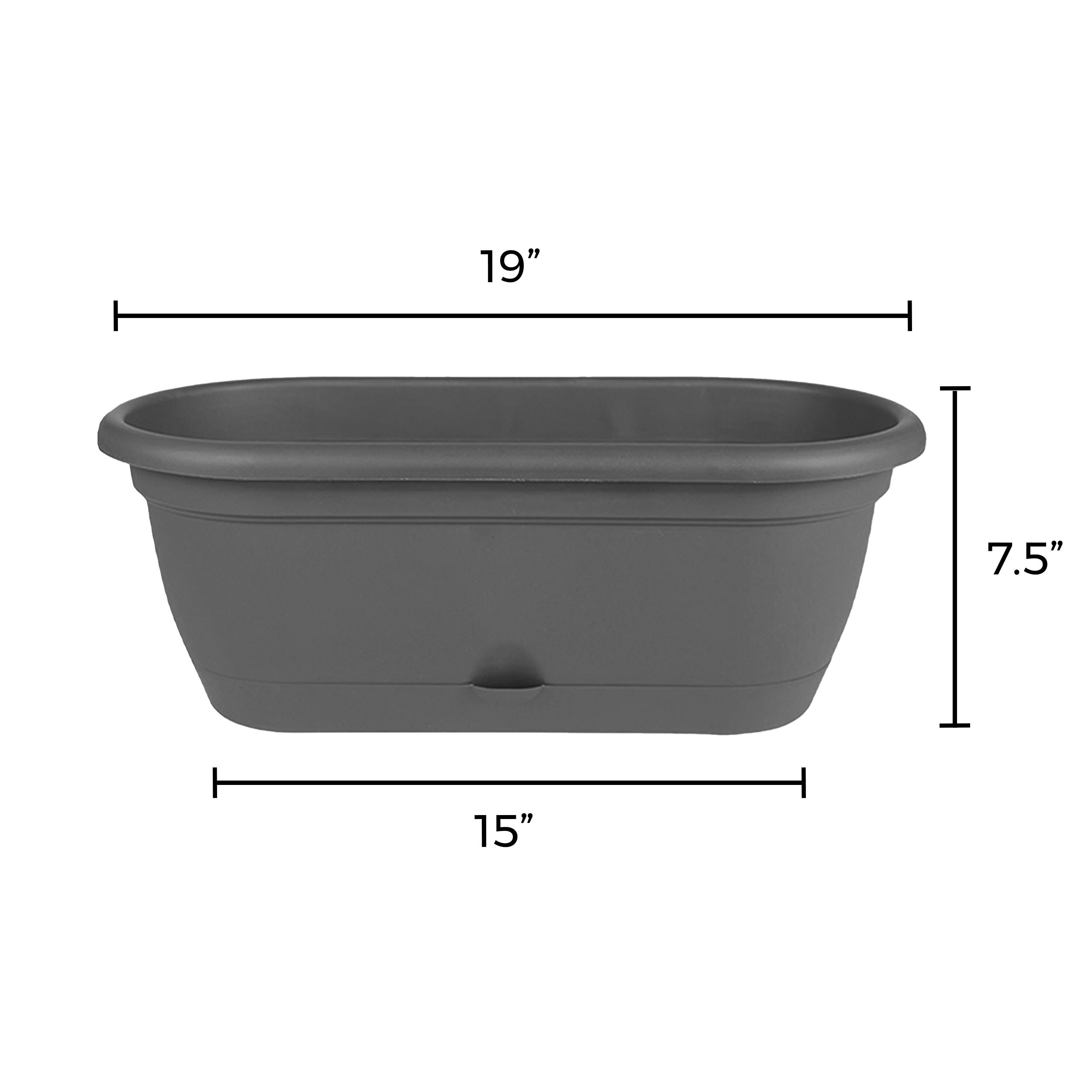 Bloem 10-Quart Charcoal Gray Plastic Self Watering Window Box with ...