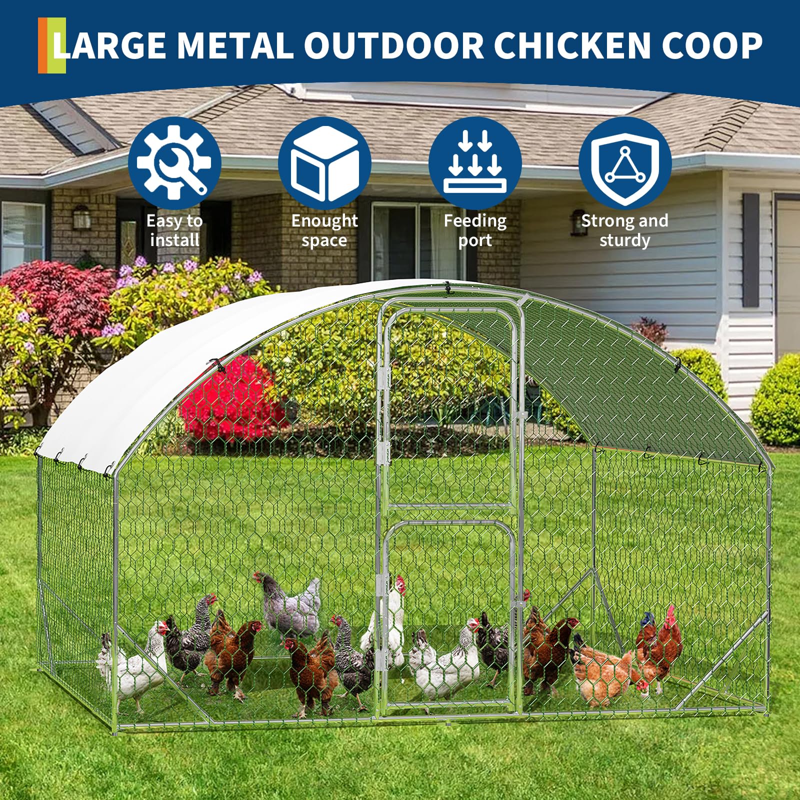 DEXSO ENCOREPPGBA9508 Chicken-Coops-Rabbit-Hutches - View #7