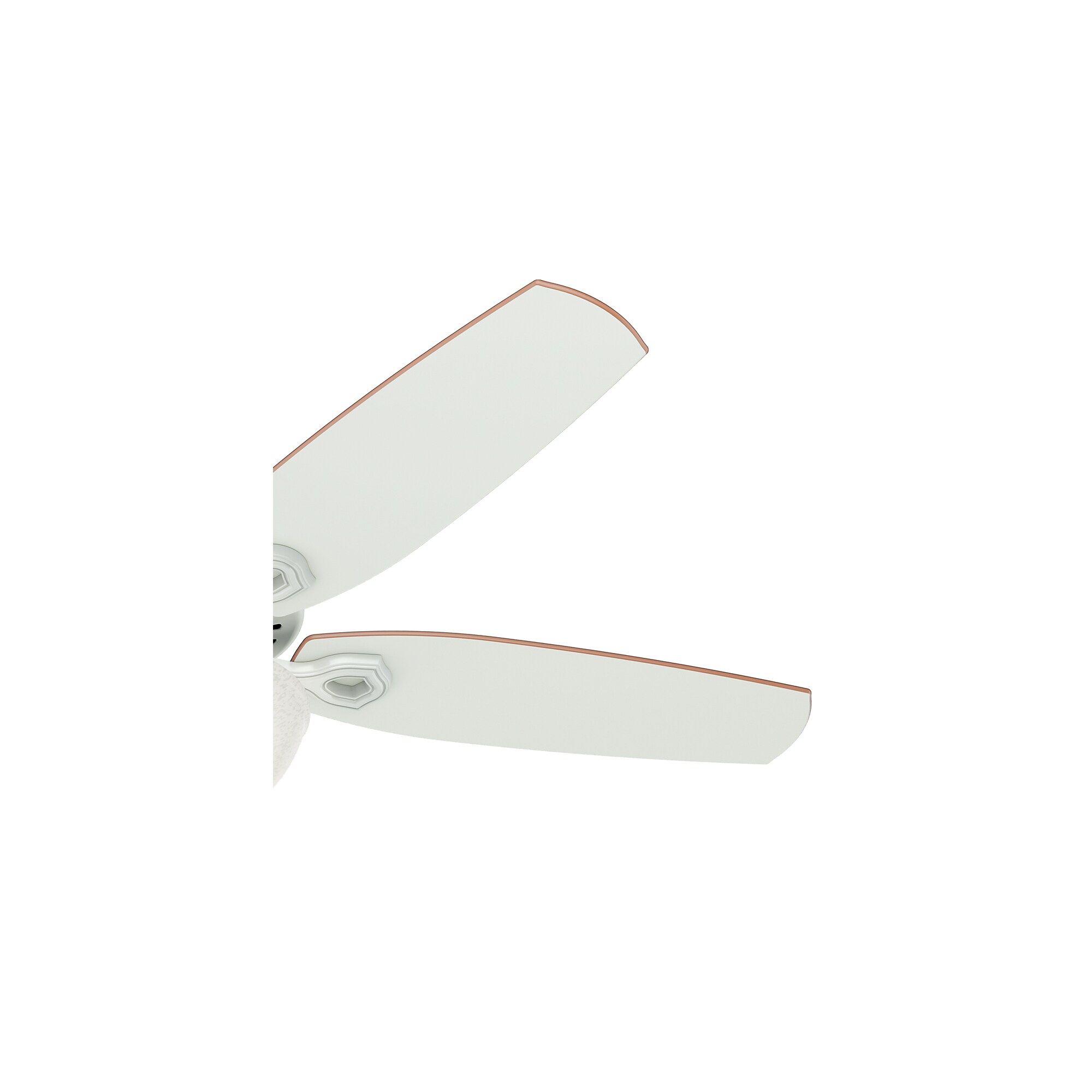 Hunter 53089 Ceiling-Fans - View #6