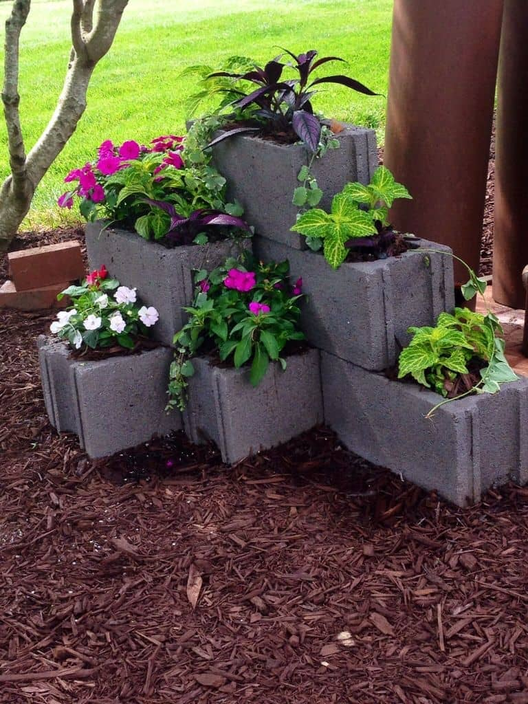 Super Simple Concrete Block Garden – Bonnie Plants