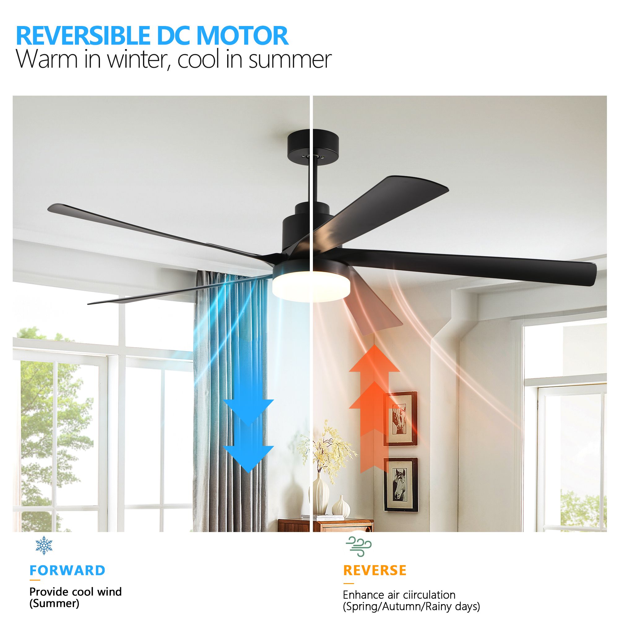 Tenleaf LIGHT0413-271-1 Ceiling-Fans - View #2