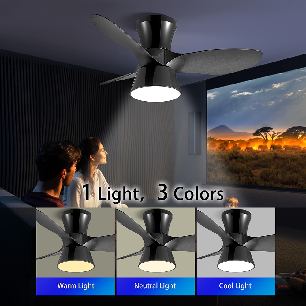 Sunrinx MG40-5-FL Ceiling-Fans - View #10