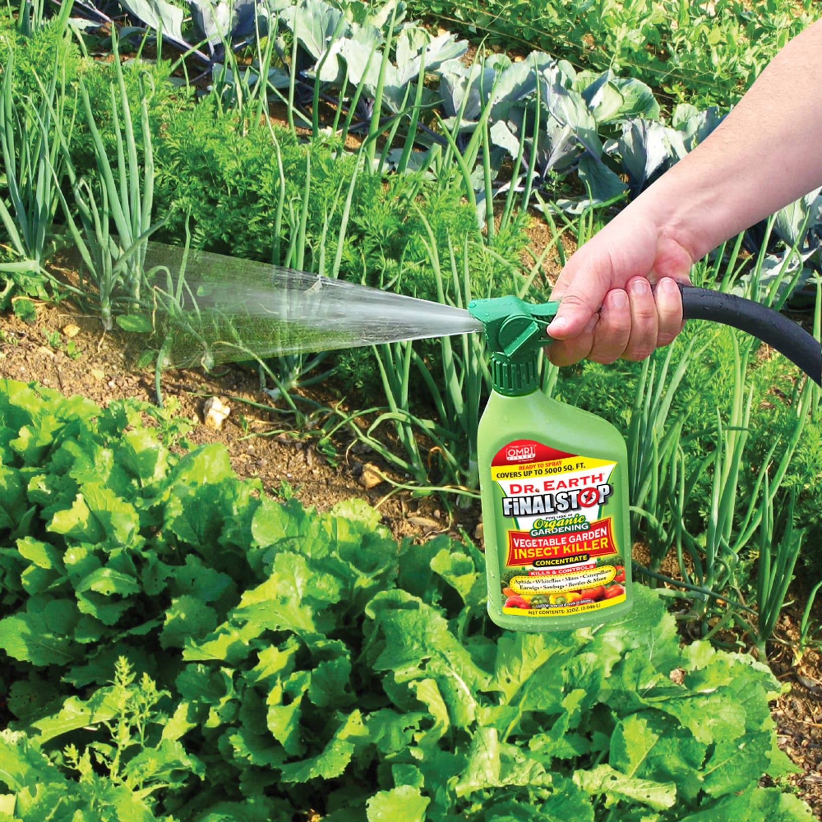 Dr. Earth 8010 pesticides - View #4