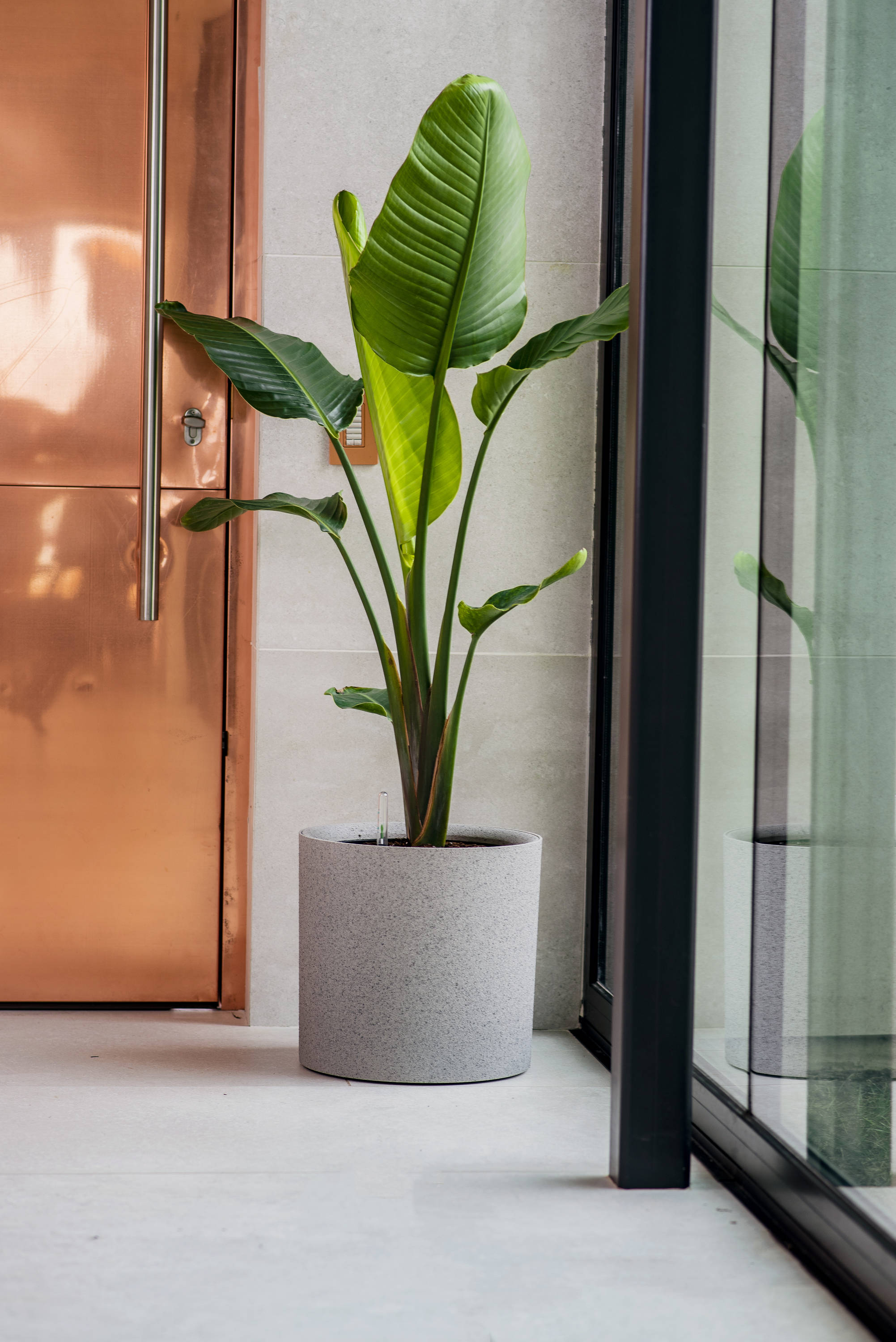 Graphite Self-Watering Planter with Bamboo Stand, 14 Inch