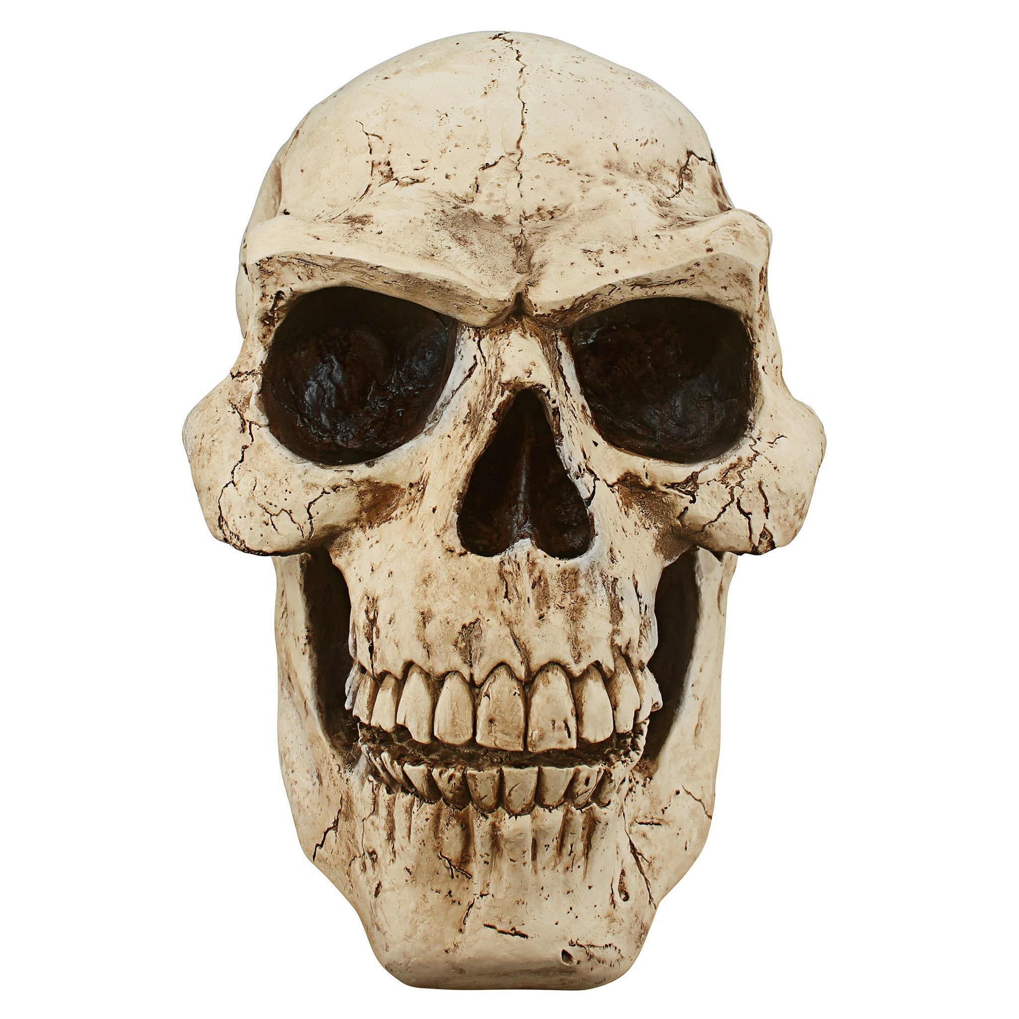Giant Beige Resin Halloween Skeleton Skull Sculpture
