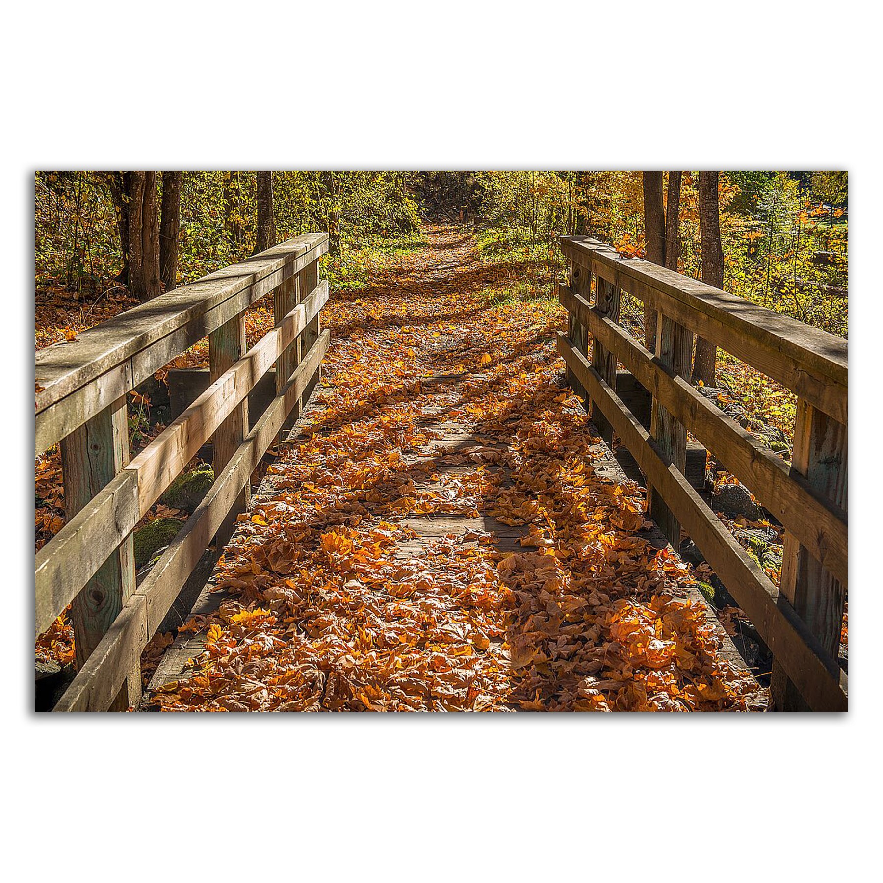 Tangletown Fine Art 8O305DC-3624 Wall-Art - View #3