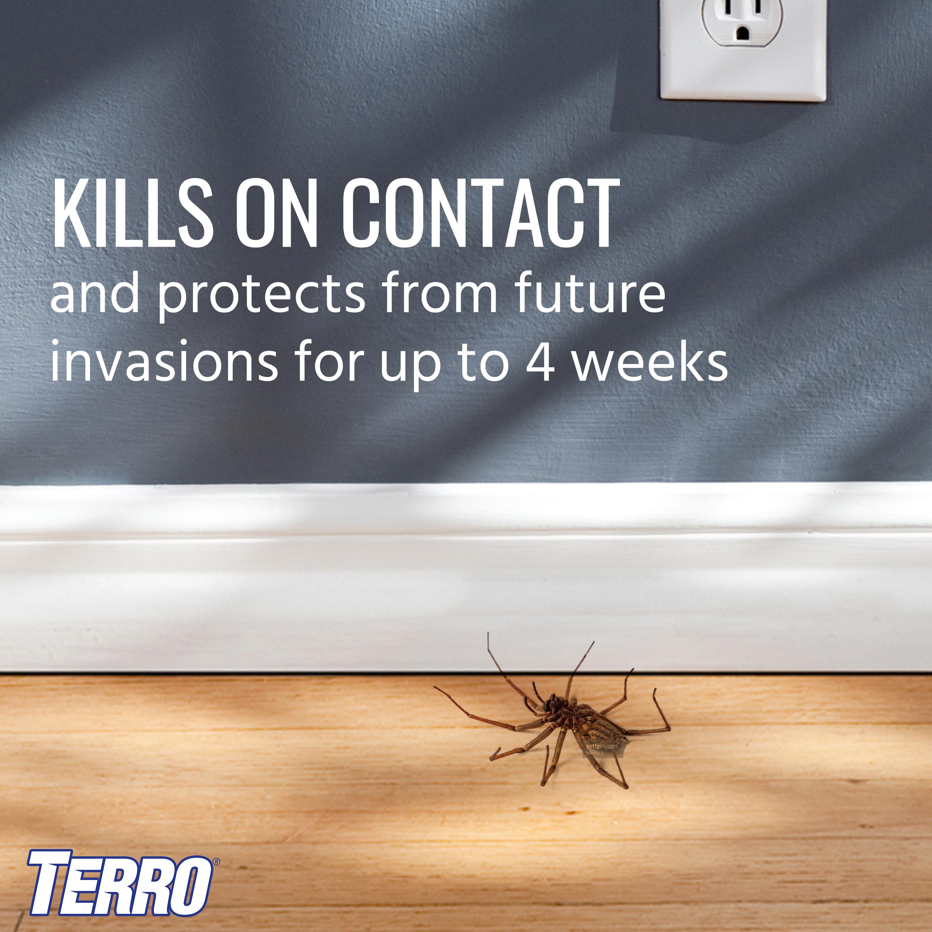 Terro Aerosol Spider Killer 16 oz