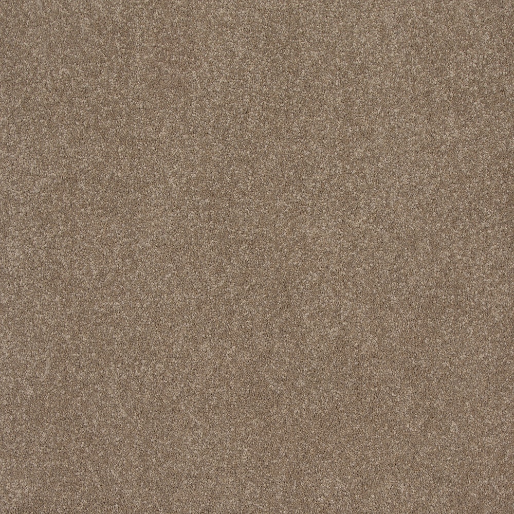 STAINMASTER SS029-12-L011 Express Install Rarefied Air I Radiant Brown 35-oz sq yard Solution-dyed polyester Textured Indoor Carpet