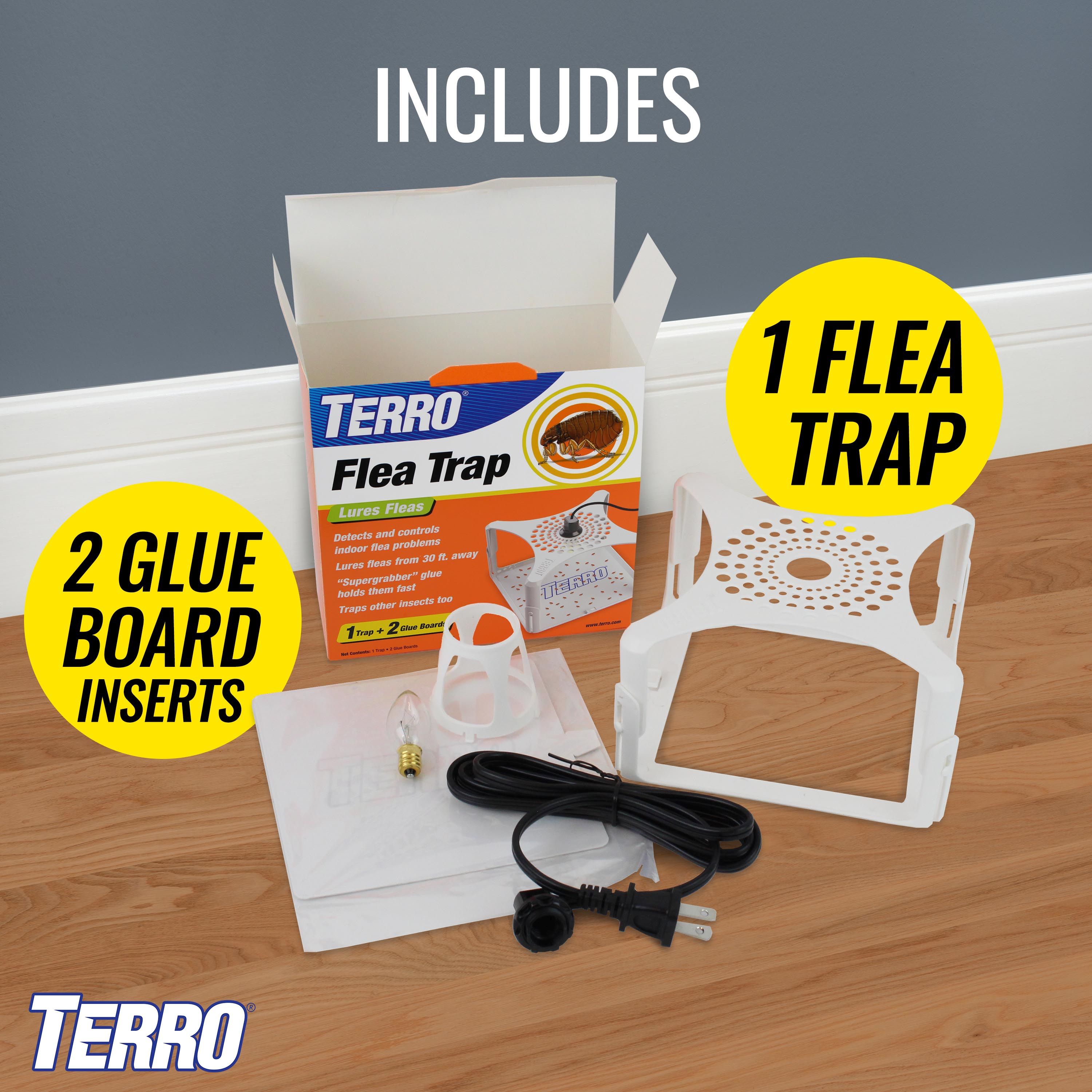 Terro Refillable Flea Indoor Insect Trap 3 Pack In The Insect Traps