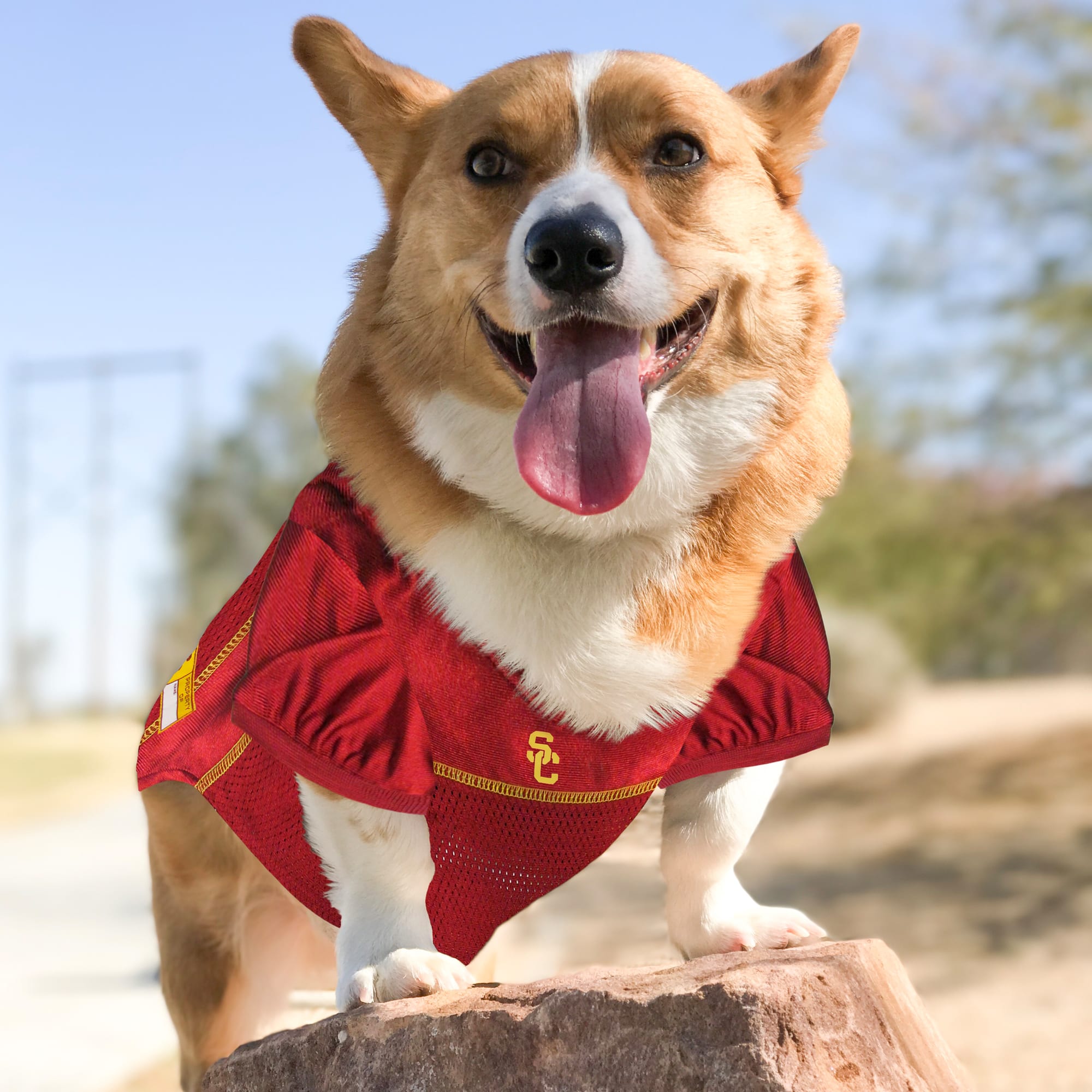 Pets First USC-4006-XXL Dog-Clothing-Acc - View #3