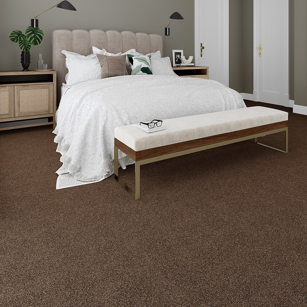 STAINMASTER STP36-L014-0808 Carpet-Samples - View #3