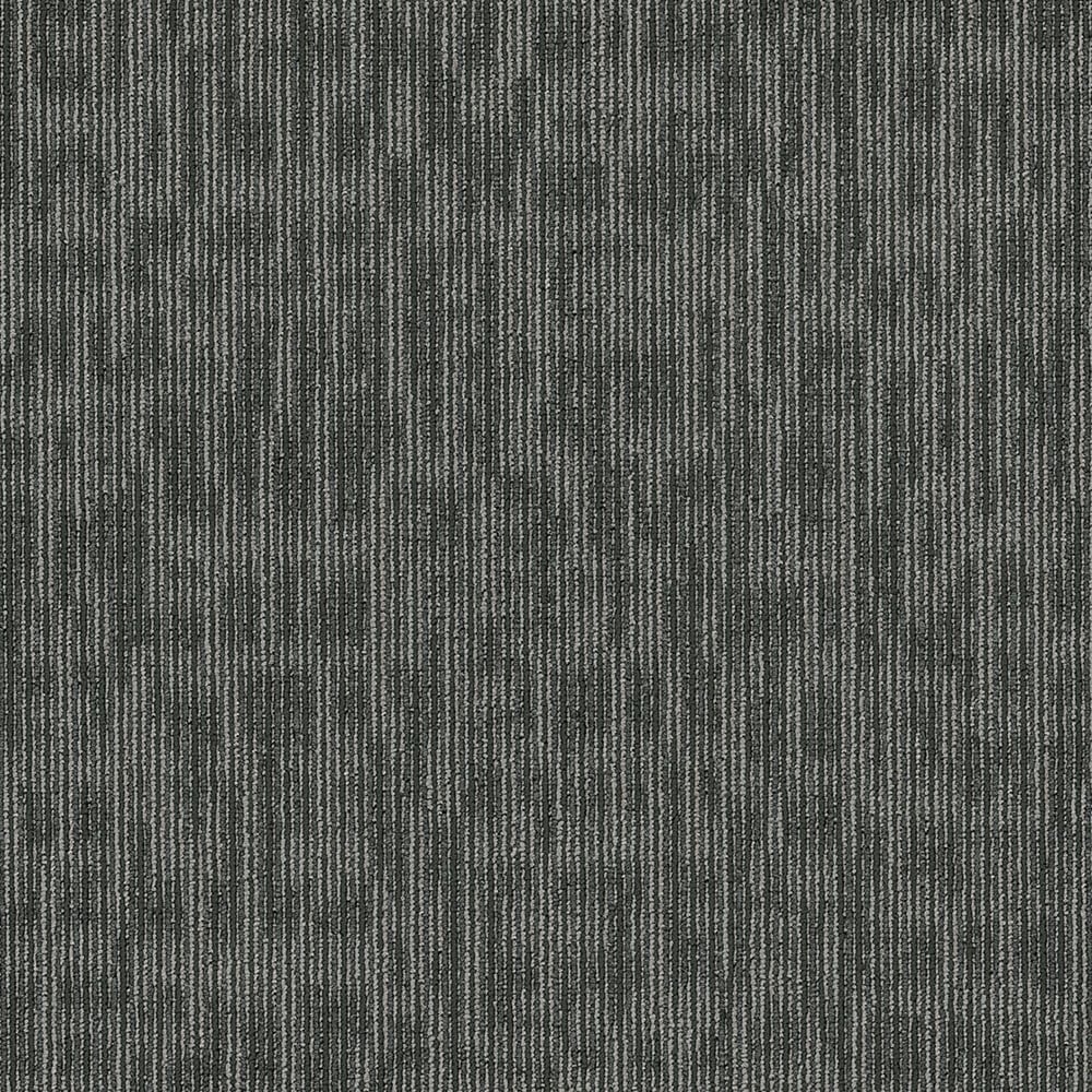 Shaw 7L80944515 Whiz Kid 24-in x 24-in Sharp Gray Commercial Adhesive Indoor Carpet Tile ( 80-sq ft )