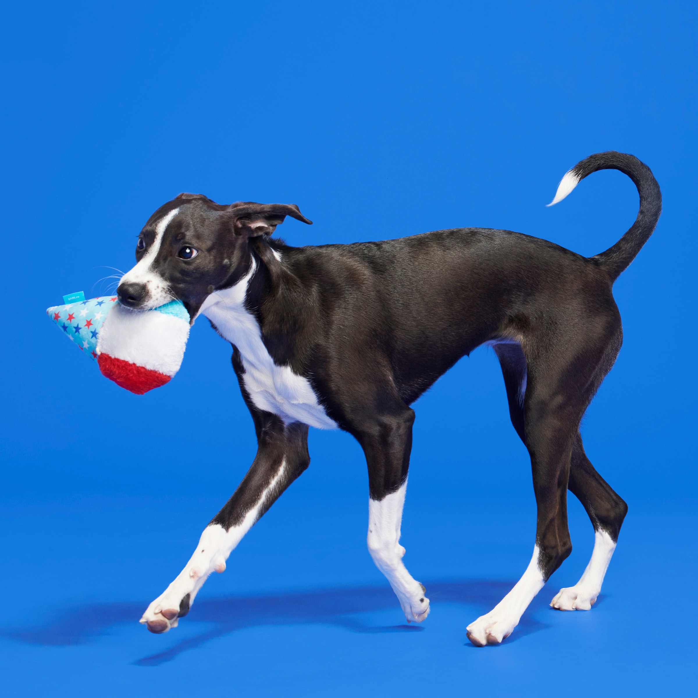 BARK 214267 Dog-Toys - View #4