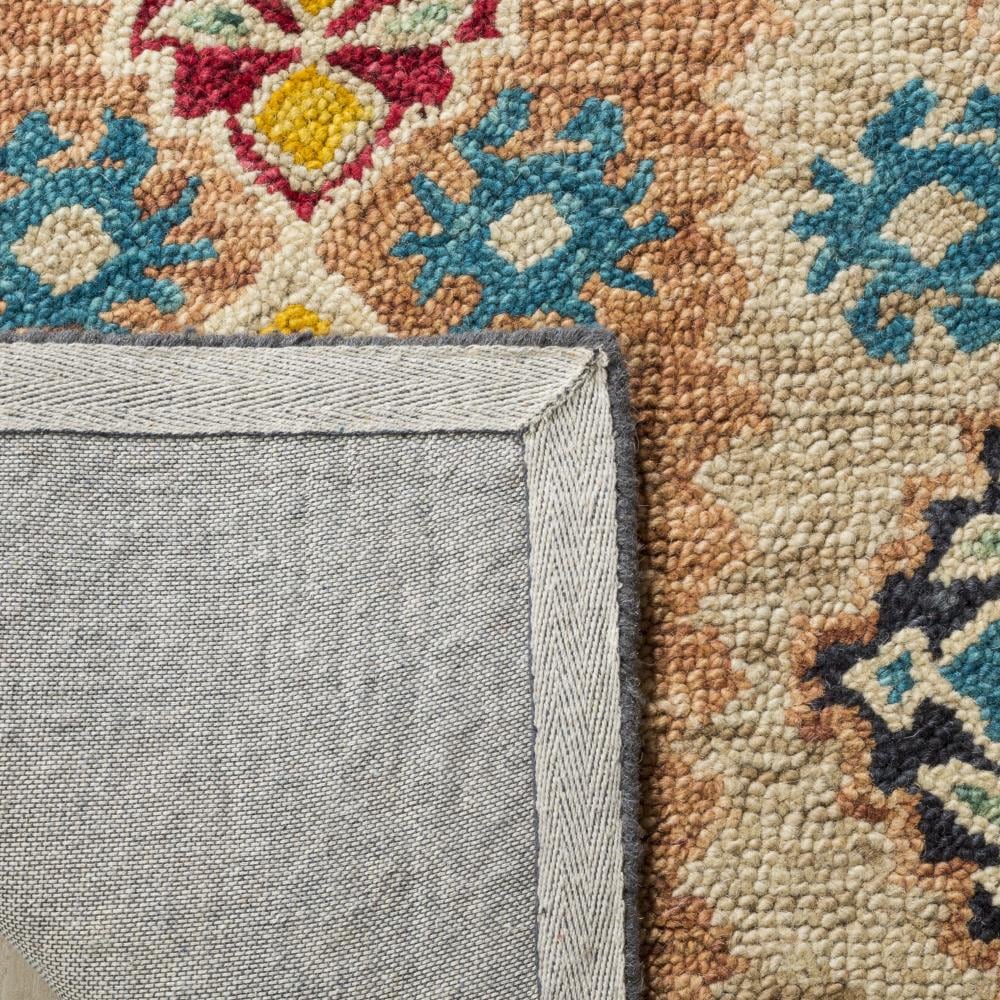 Safavieh APN508B-7R rugs - View #4