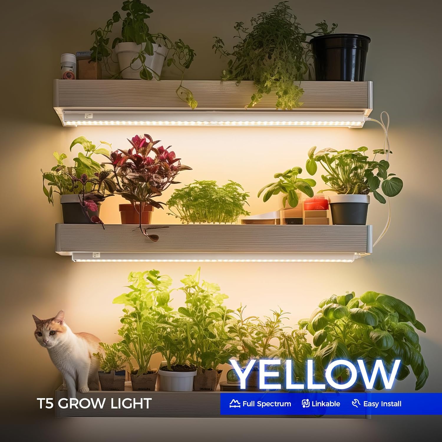 Barrina T5 Full Spectrum Grow Light 2ft 80W 8X10W 500W Equivalent
