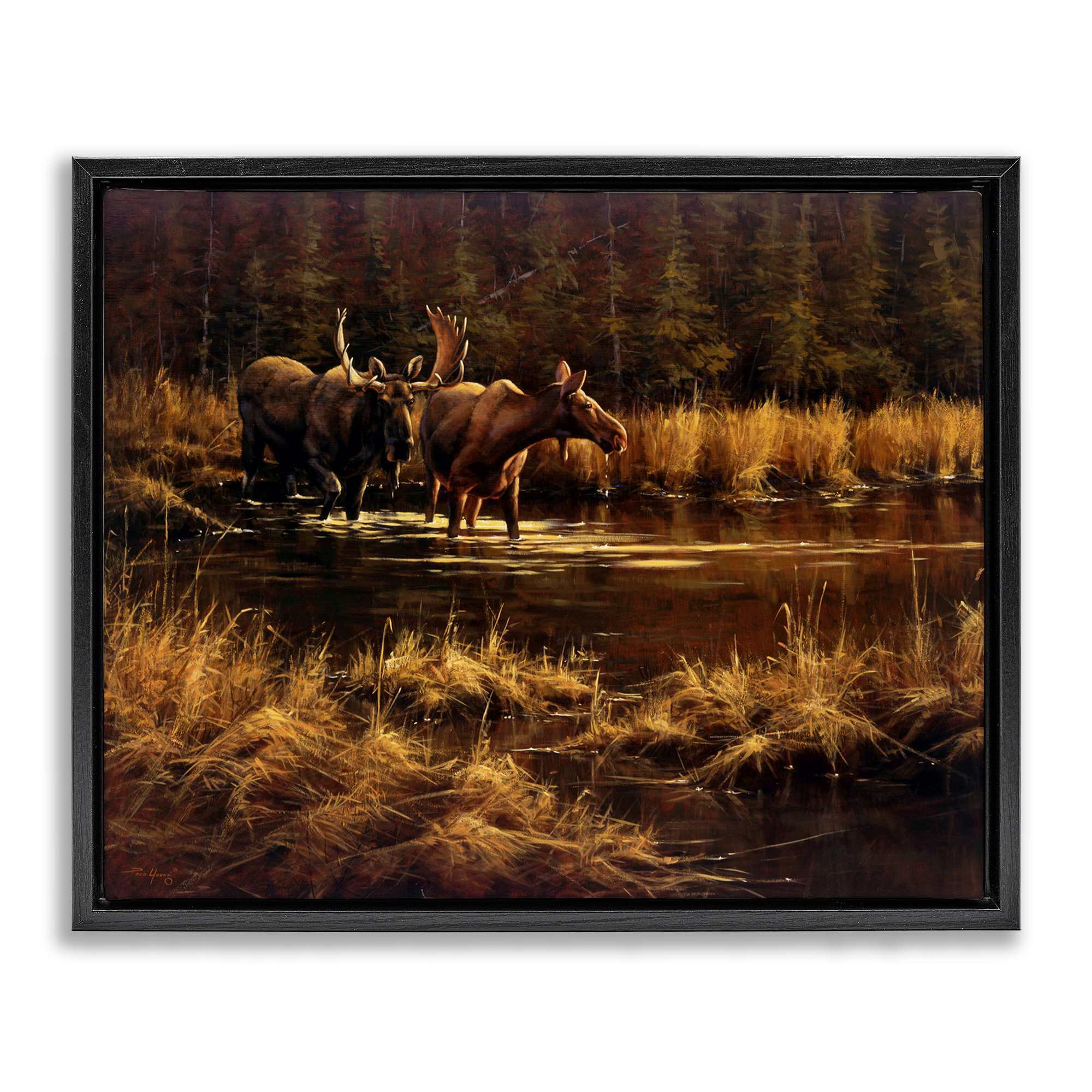 Stupell Industries BT-259-FFB-16X20 Moose Pair at Stream Black Framed Floater Canvas Wall Art By Paco Young 21 x 17
