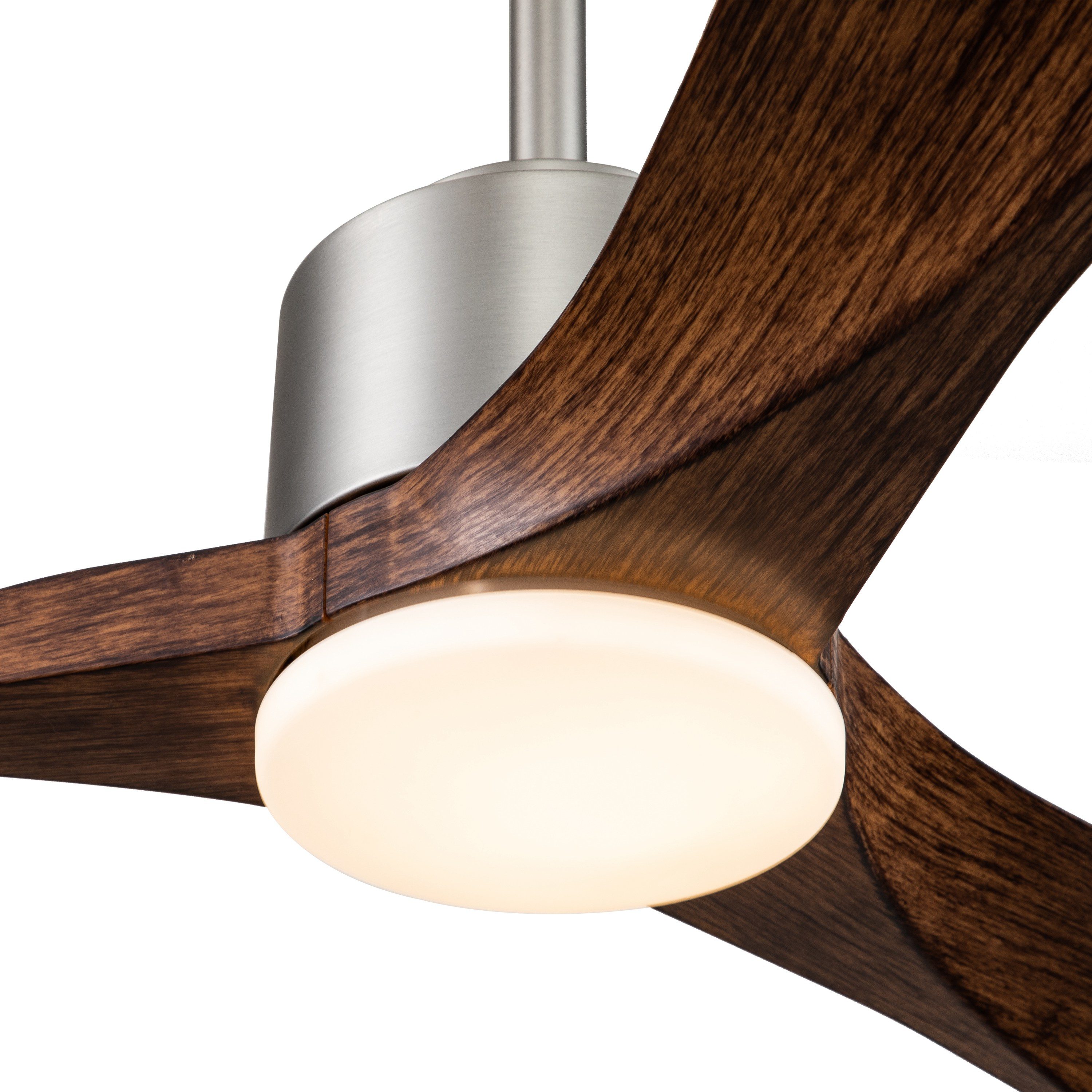 C Cattleya CA2128-CF Ceiling-Fans - View #3