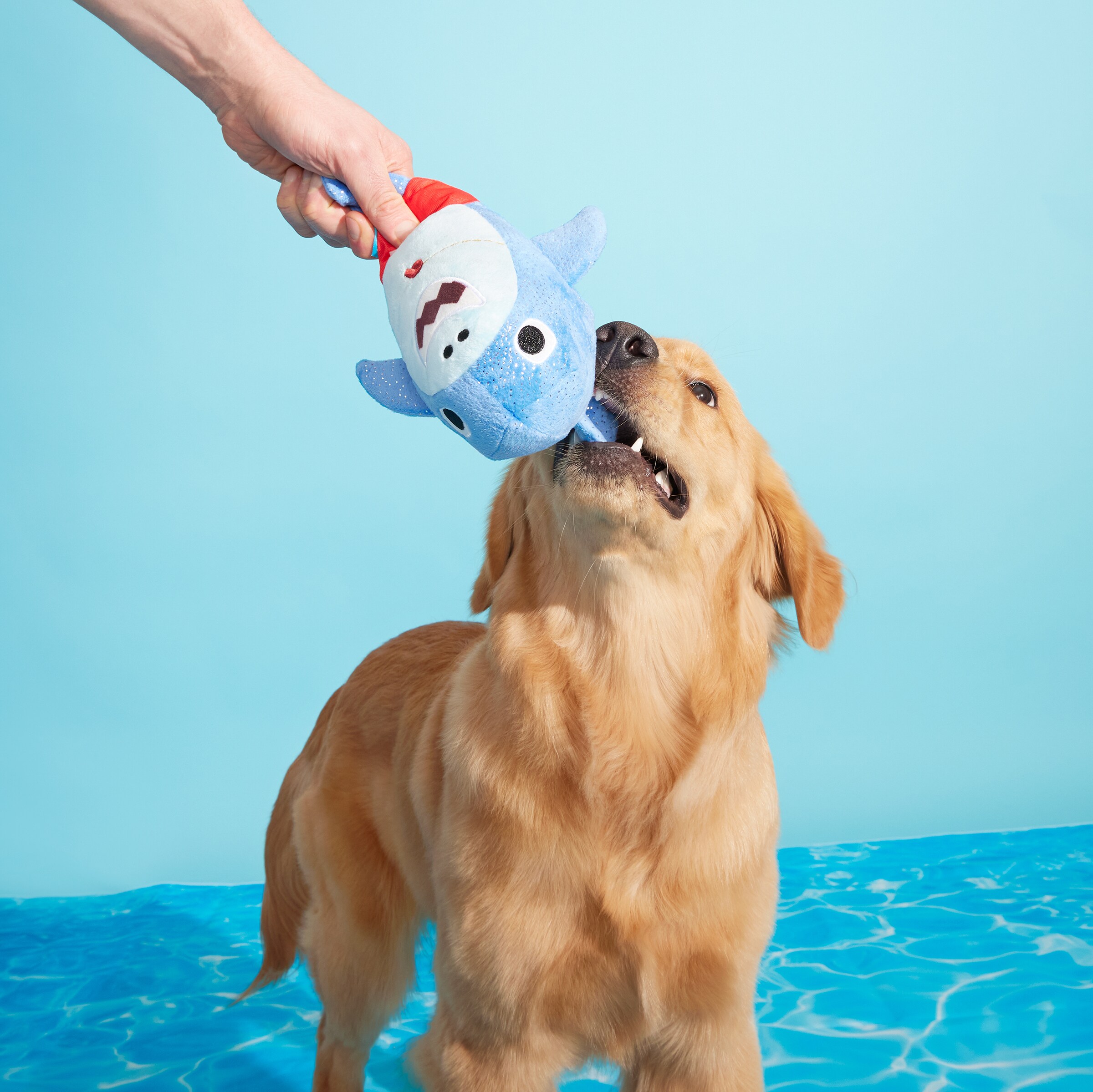 BARK 215821 Dog-Toys - View #4