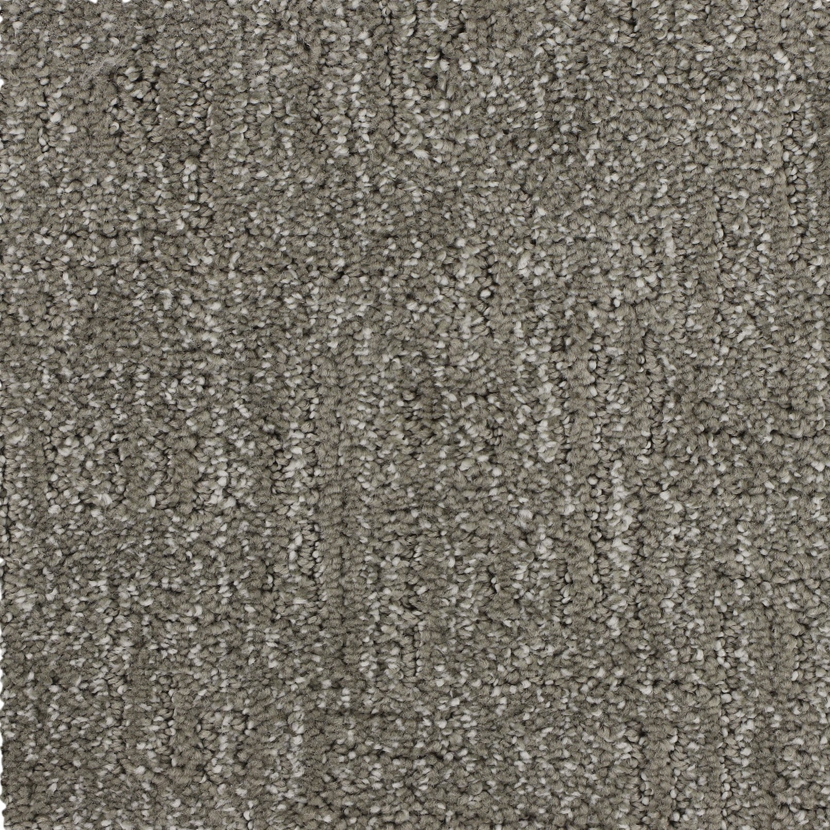 STAINMASTER PetProtect SS055-L008-S0808 (Sample) 8-in x 8-in with LeakDefense Nice Reward Brushed Fur Brown 46-oz sq yard Triexta Pattern Indoor Carpet