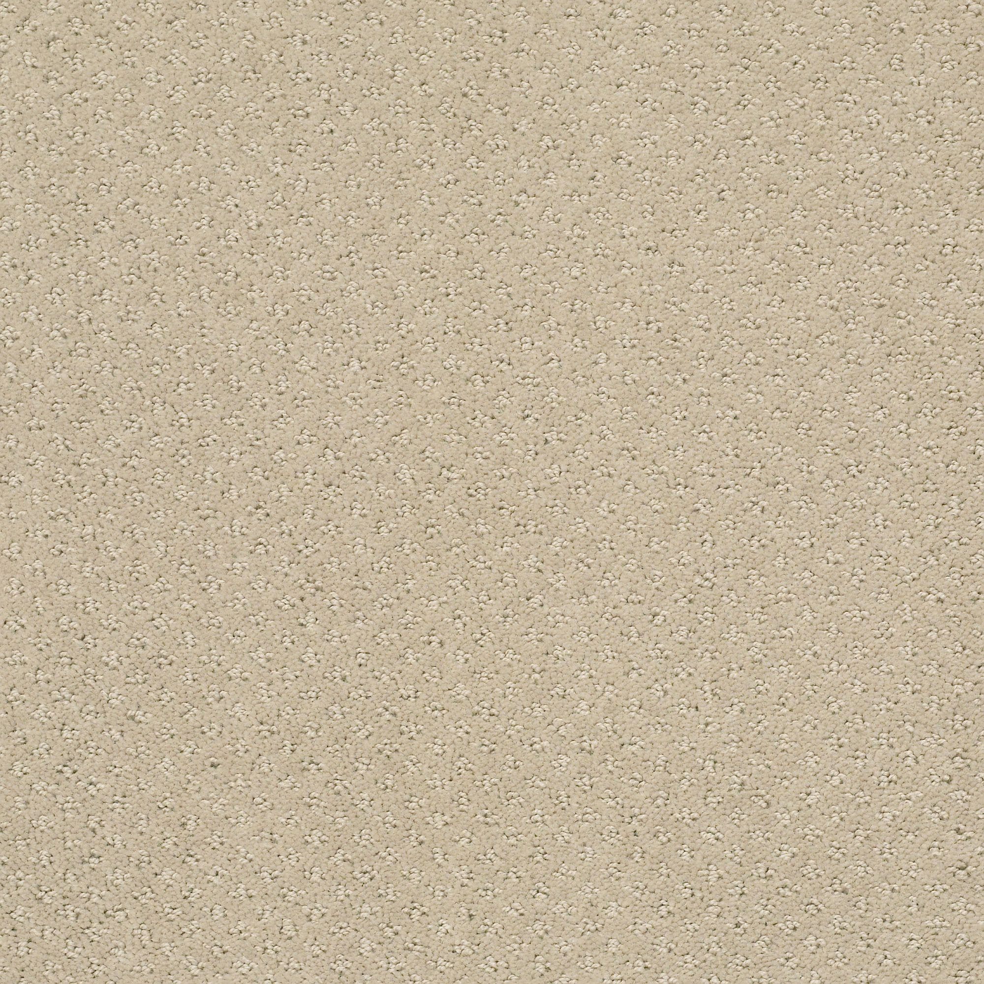 STAINMASTER 7L905 - 173 - SAMP (Sample) Crieve Hall Studio Taupe Brown 25-oz sq yard Nylon Pattern Indoor Carpet