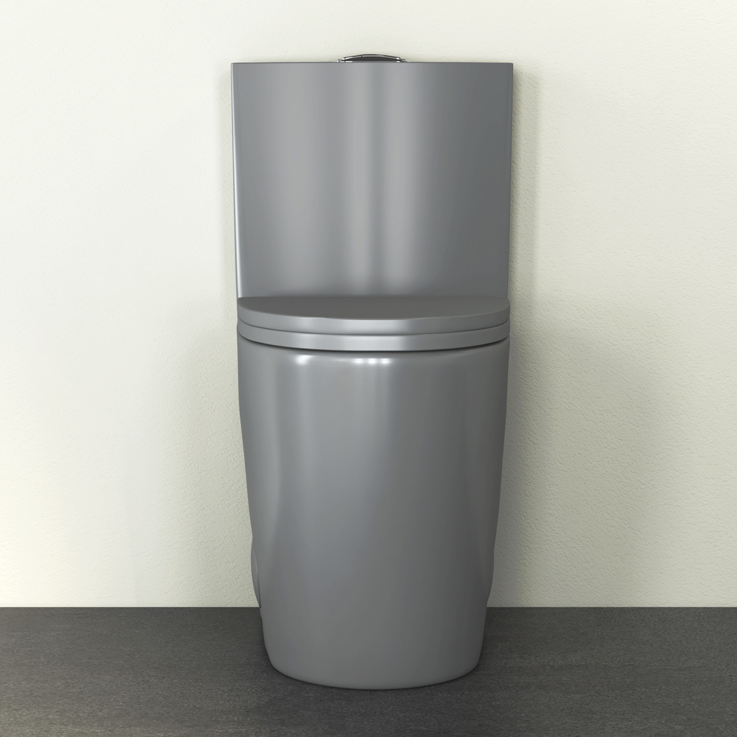 Eridanus ERI-1T323LG toilets - View #4