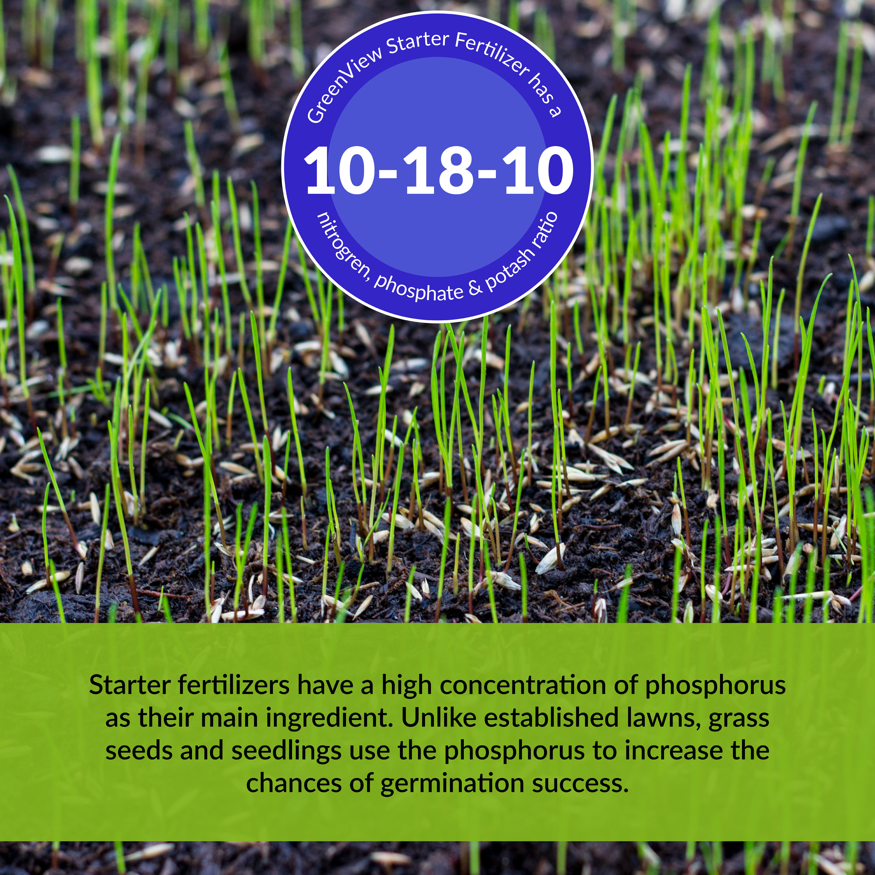 Greenview 2131185 Lawn-Fertilizer - View #3