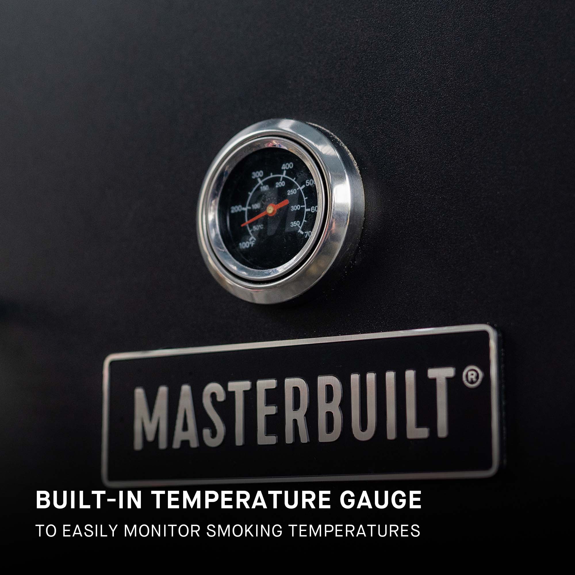 Masterbuilt Temperature Probe Test