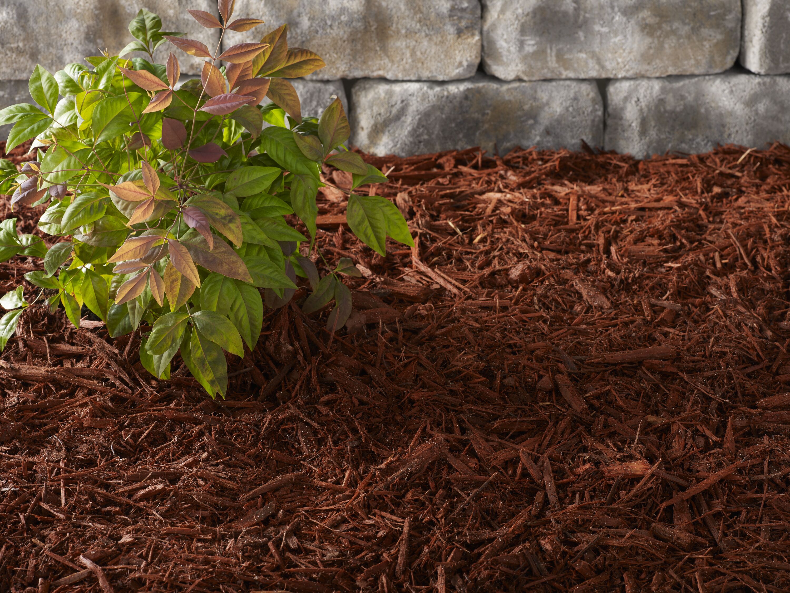 Timberline 2-cu ft Red Hardwood Mulch in the Bagged Mulch department at ...