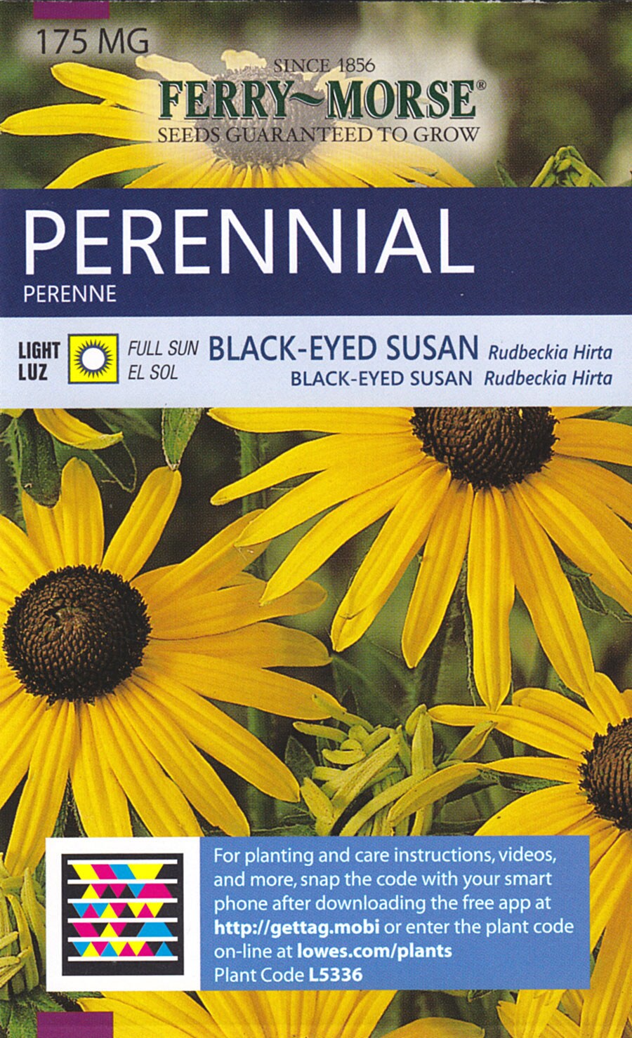 Ferry-Morse 2799 Black-Eyed Susan Rudbeckia Hirta Seeds