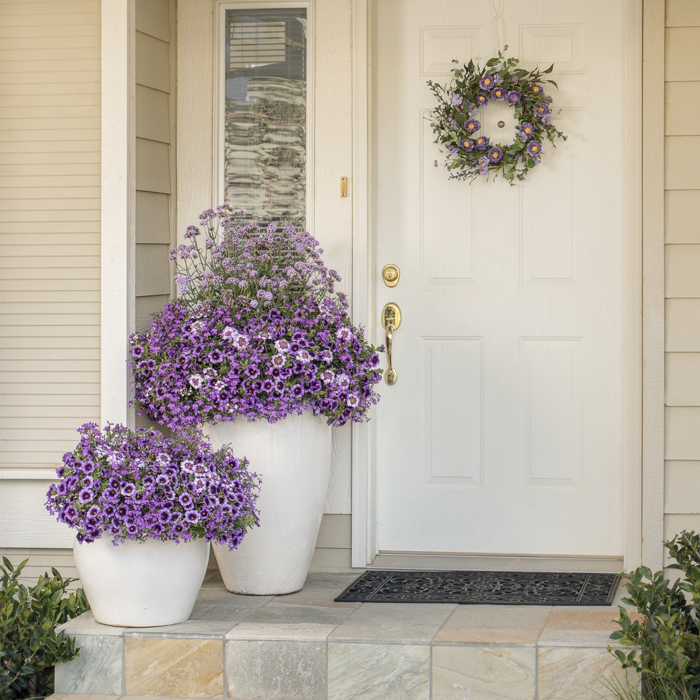 Proven Winners 1497685 annuals - View #5