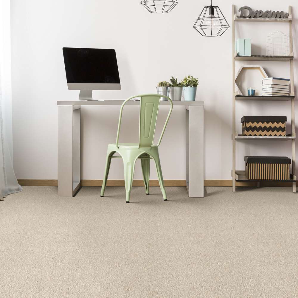 STAINMASTER 7L7980123T Carpet-Panel - View #4