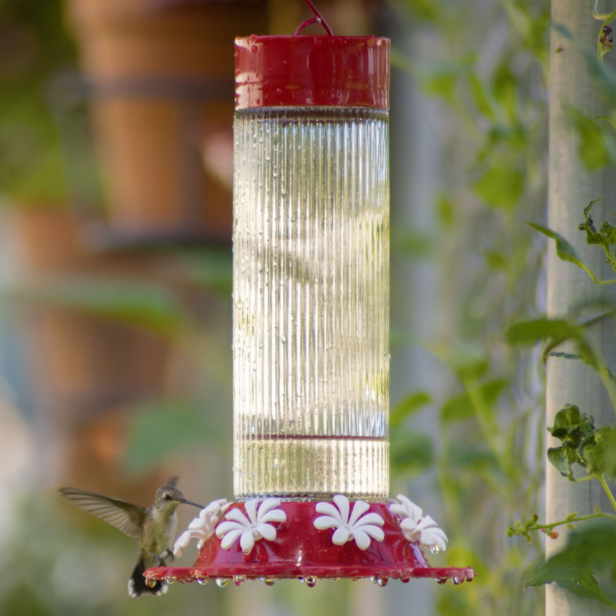 Nature's Way TGF5-IP Bird-Feeders - View #3