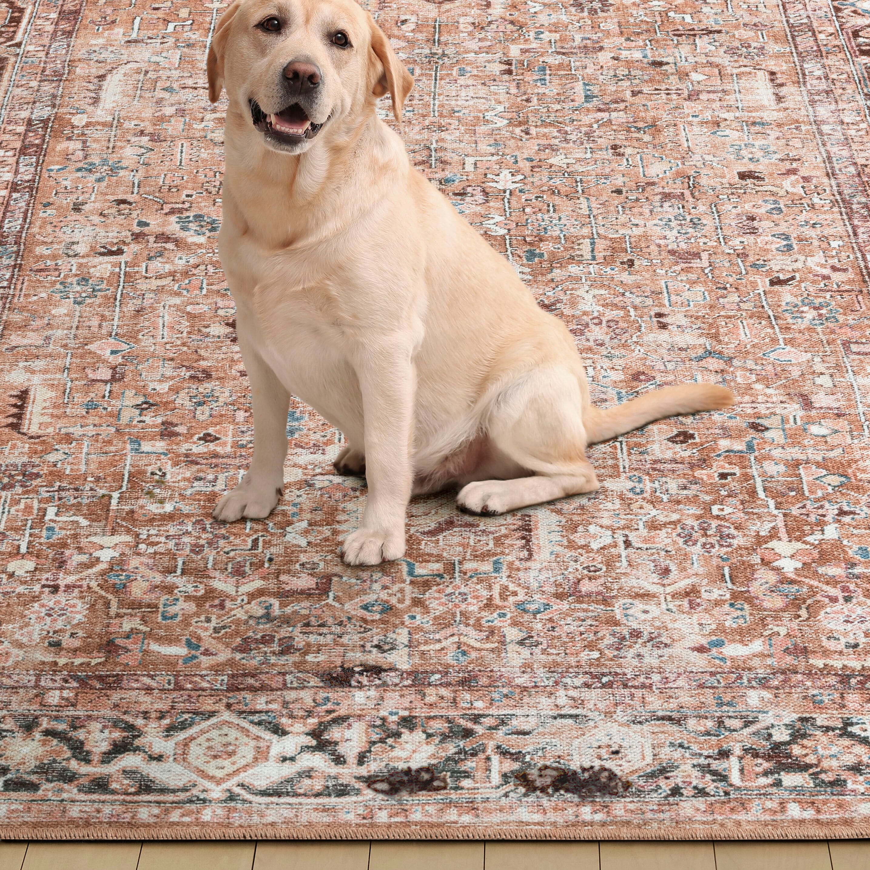 Everwash 2A-796-934 rugs - View #5