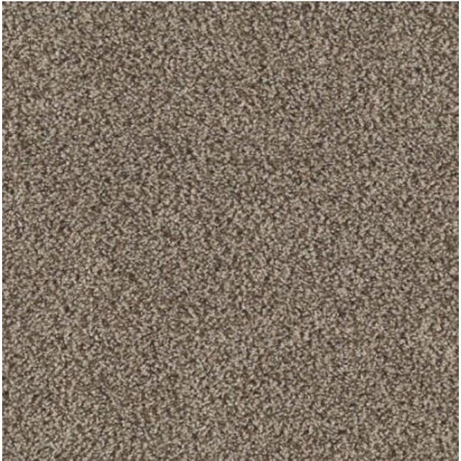 Mohawk Sandy Beach Textured Carpet Sample (Interior) Mohawk Sandy Beach Textured Carpet Sample (Interior)