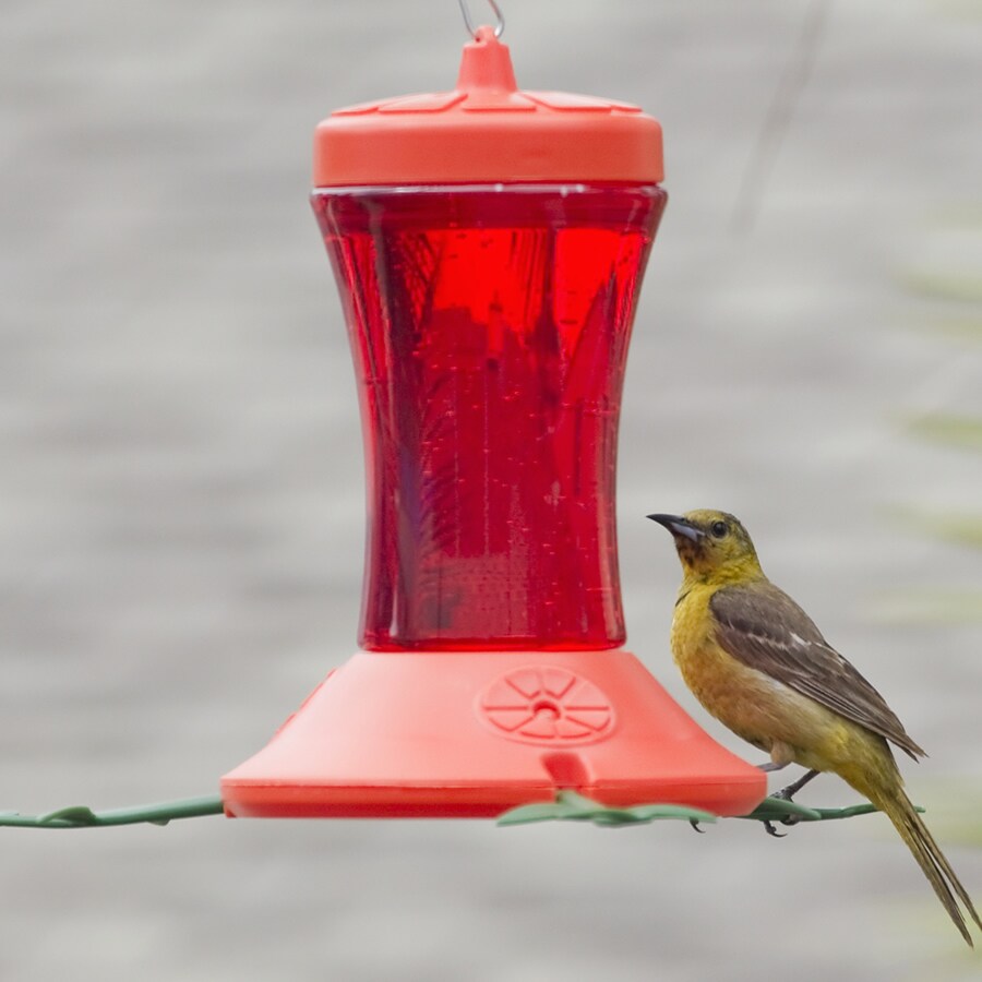 Perky-Pet 466-2 Bird-Feeders - View #4