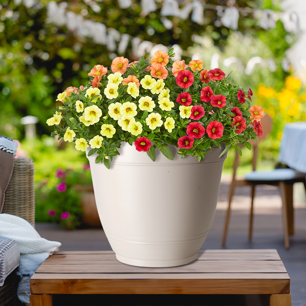 Style Selections DP2132P-WHITE Planter-Window-Box - View #4