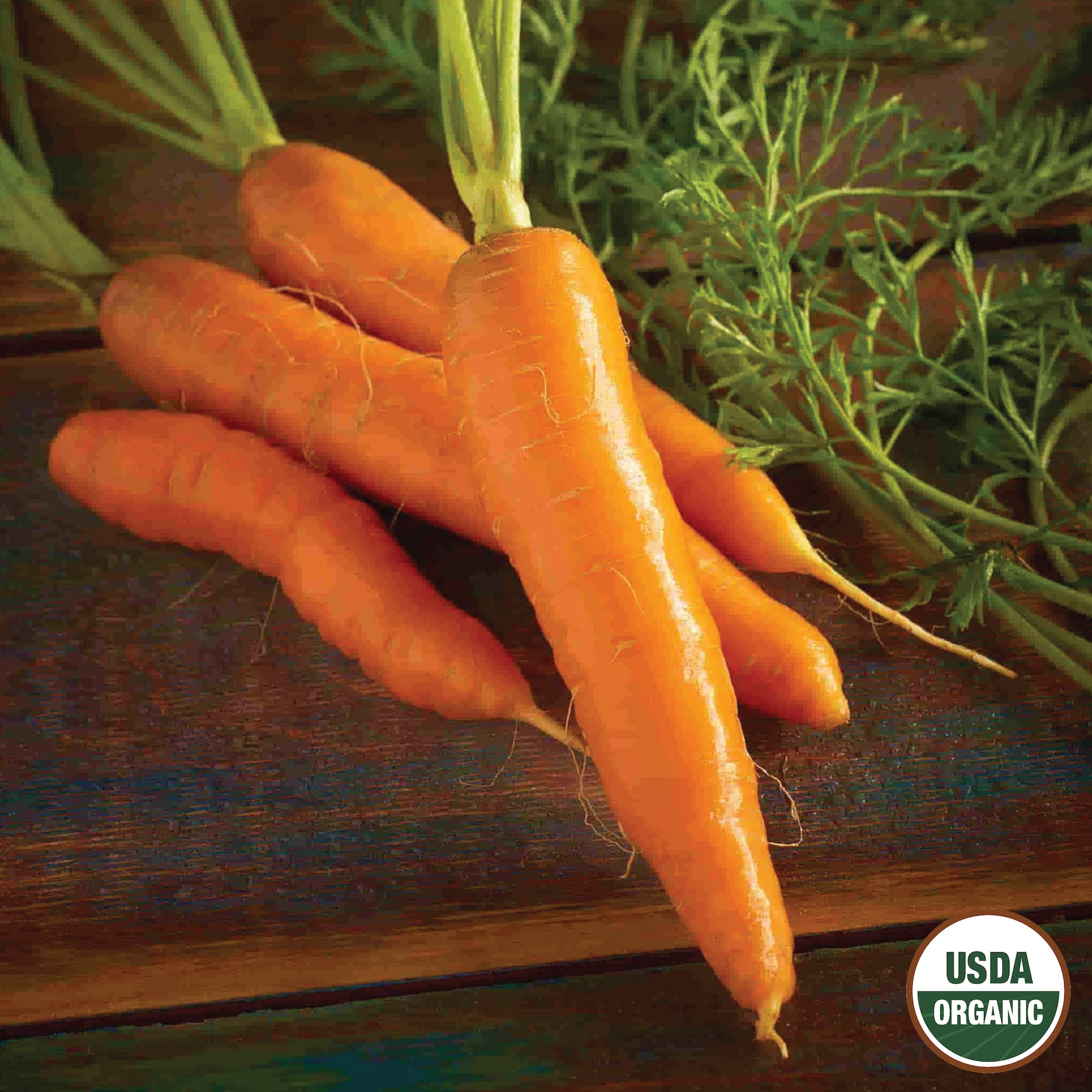 Ferry-Morse LC25.1315 Vegetable-Herb-Seeds - View #3