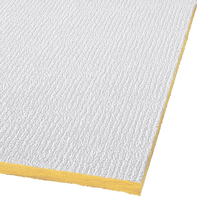 Armstrong Ceilings 24-in x 24-in Shasta (Perforated) 32-Pack White Textured 15/16-in Drop Acoustic Panel Ceiling Tiles Armstrong Ceilings 24-in x 24-in Shasta (Perforated) 32-Pack White Textured 15/16-in Drop Acoustic Panel Ceiling Tiles