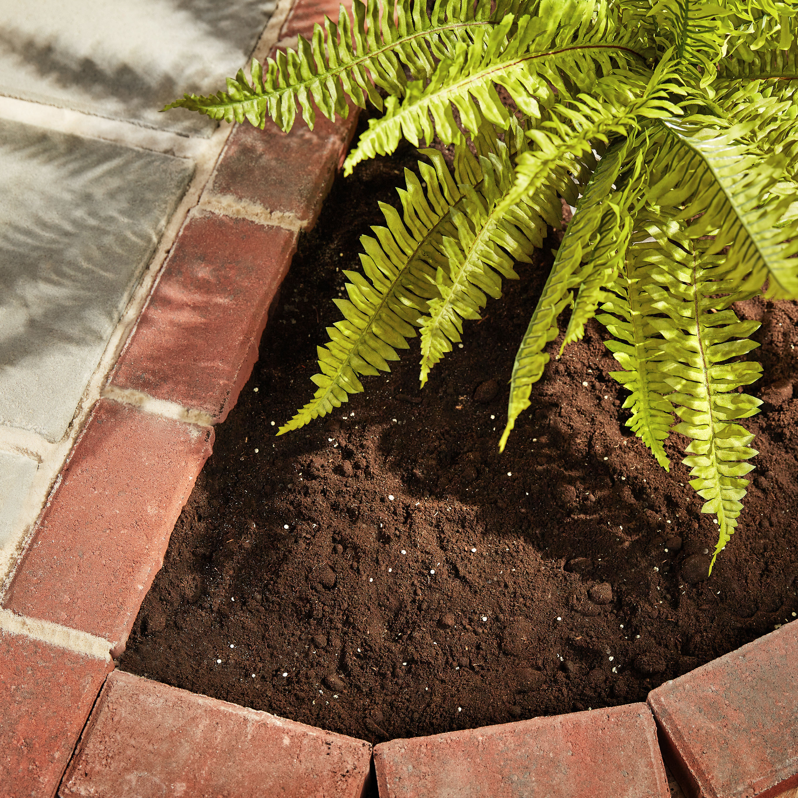 Arizona's Best Soil Sulphur 20 lb